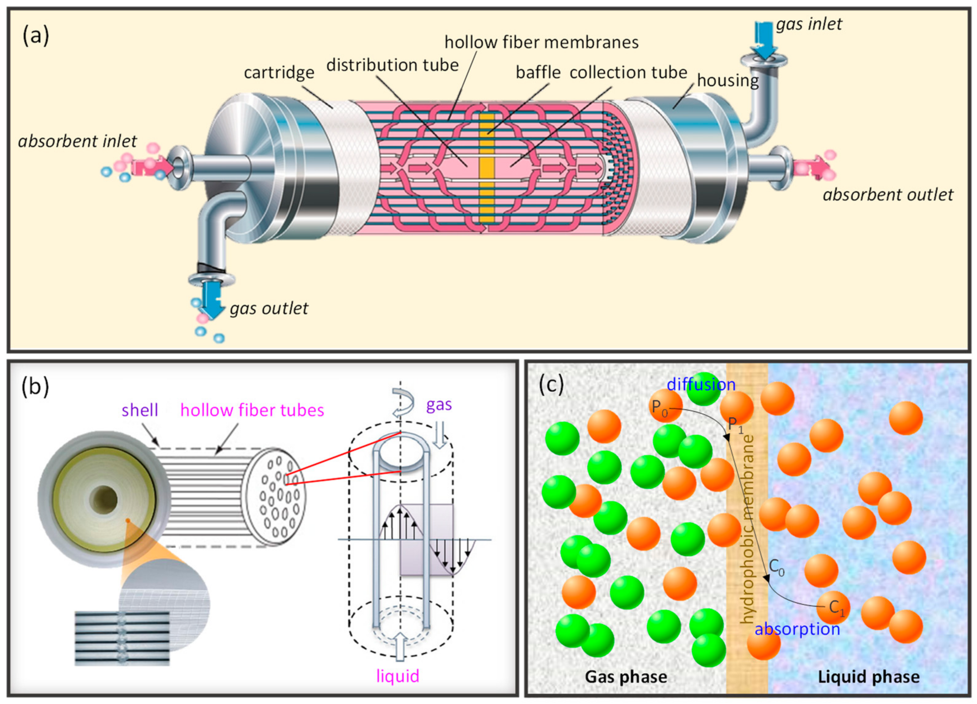 Membranes 12 00539 g016