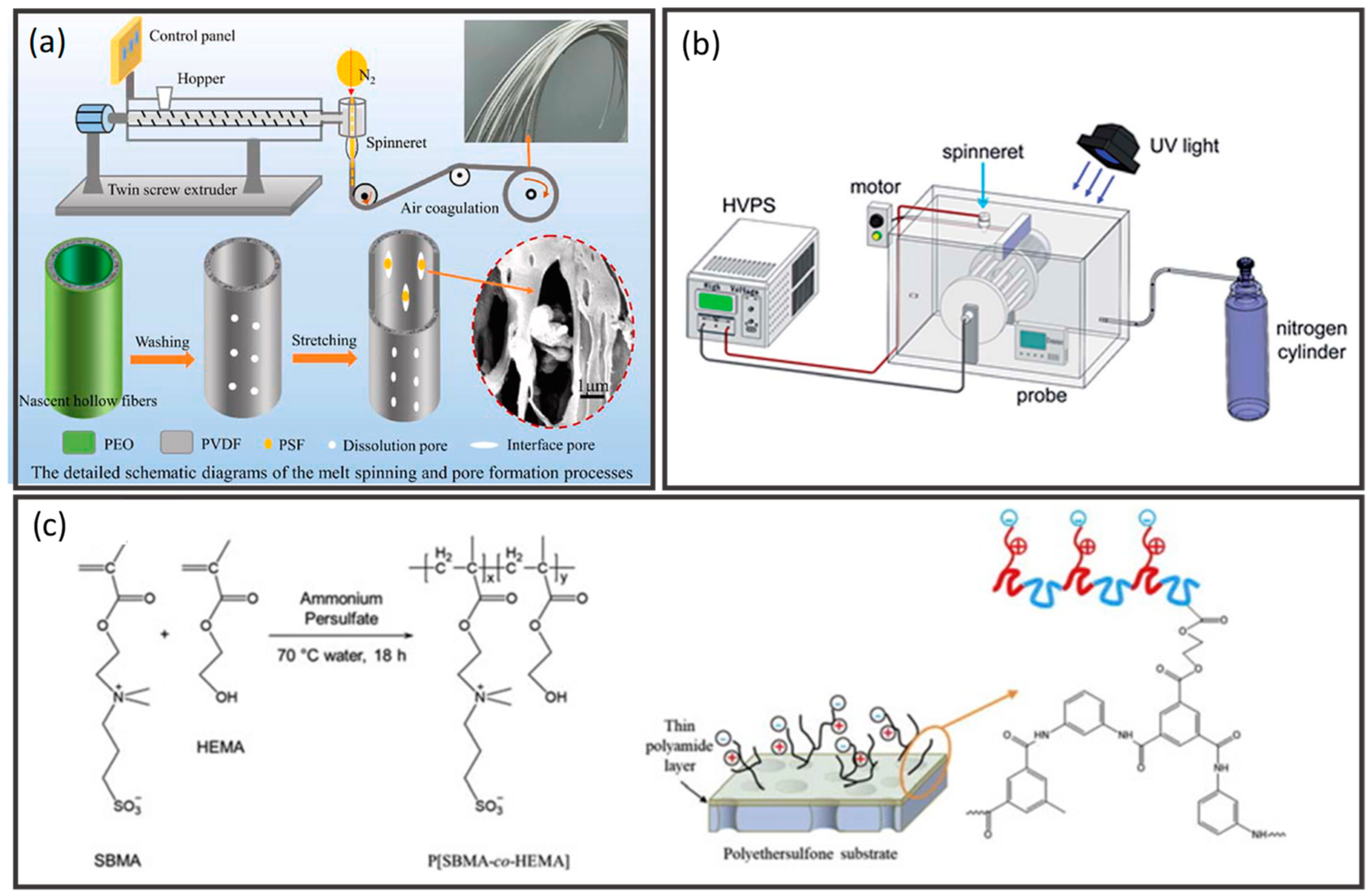 Membranes 12 00539 g019