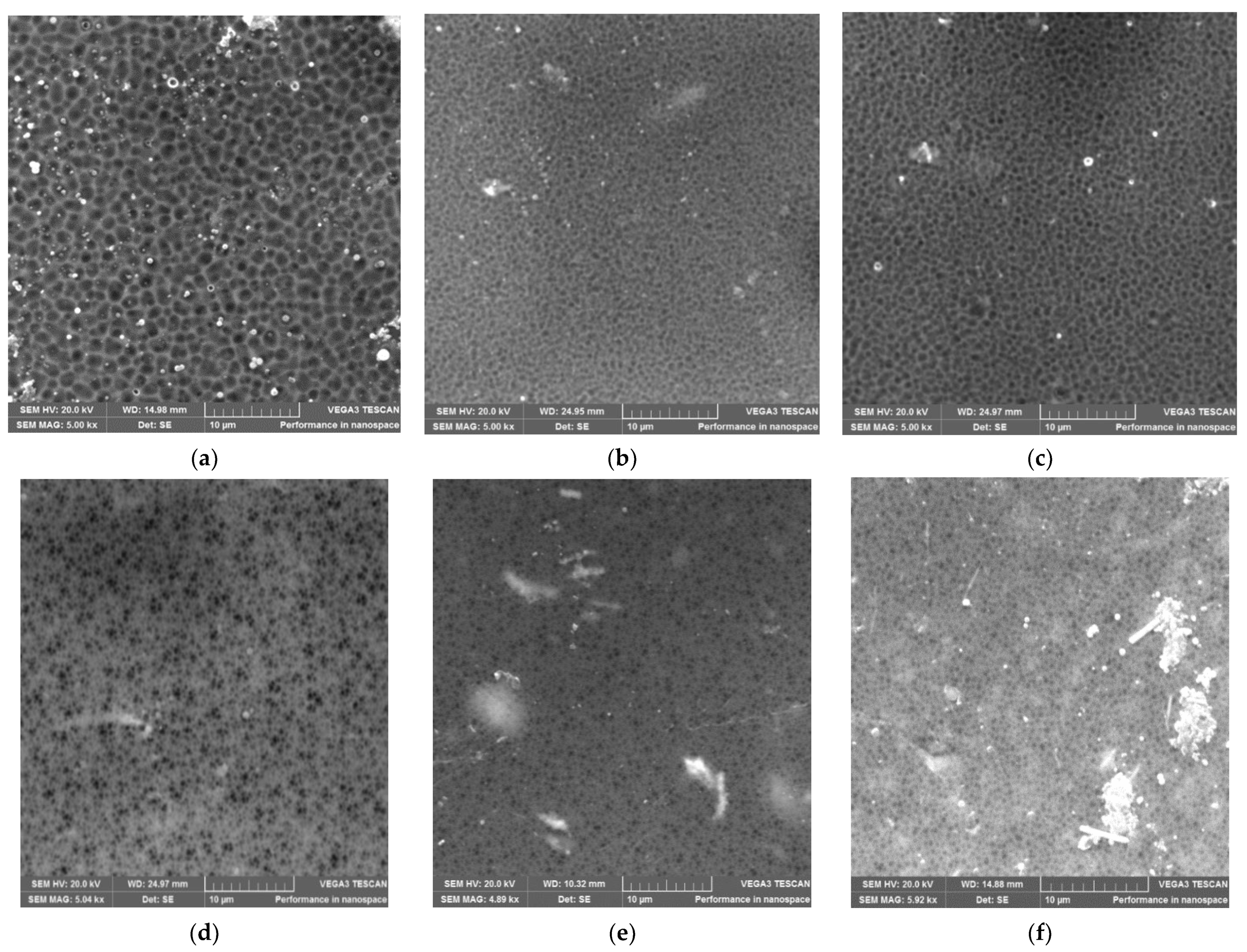 Membranes 12 00553 g004