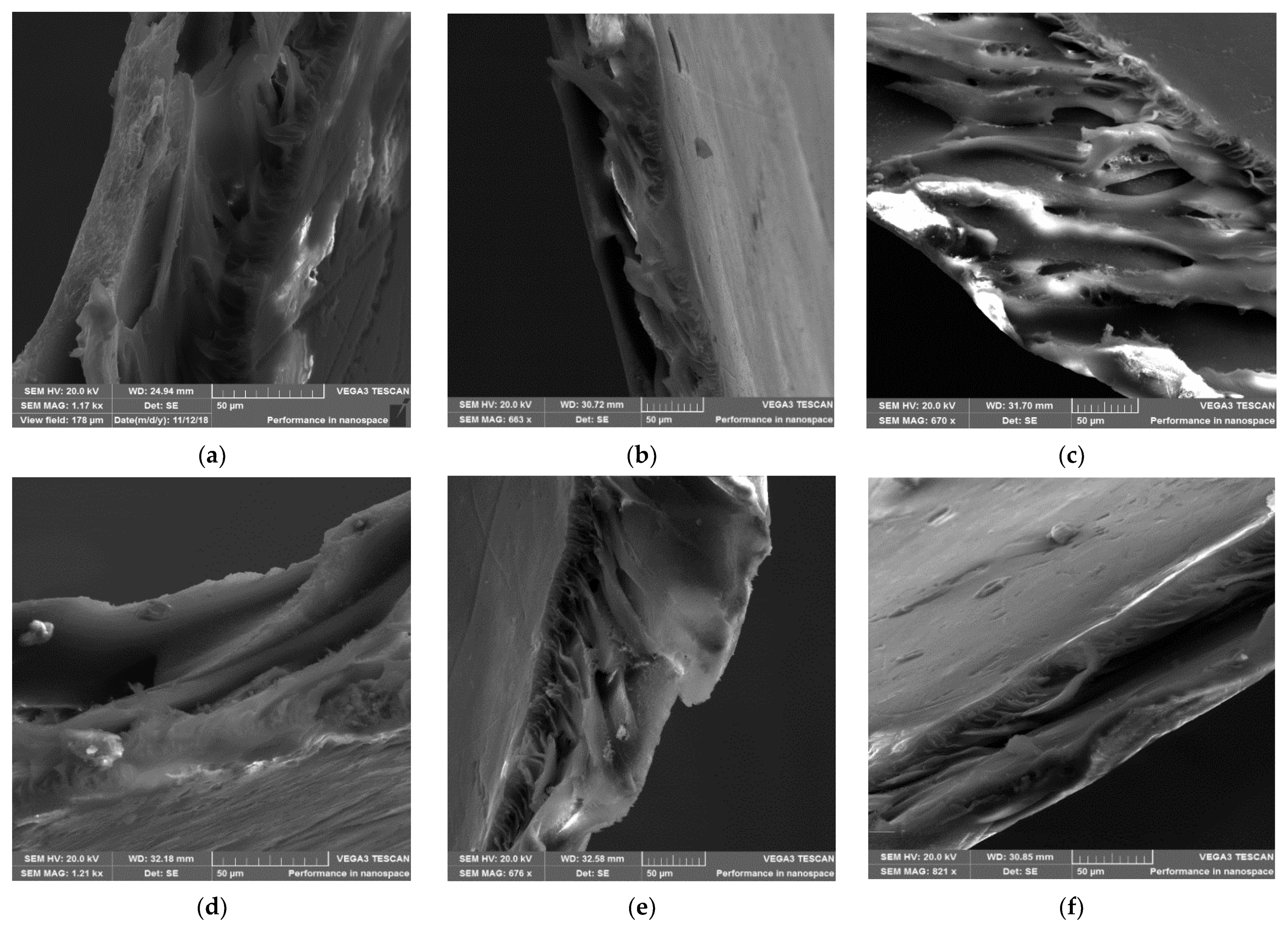 Membranes 12 00553 g005