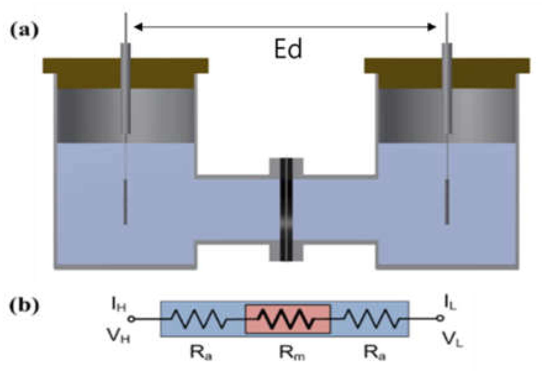 Membranes 12 00556 g001