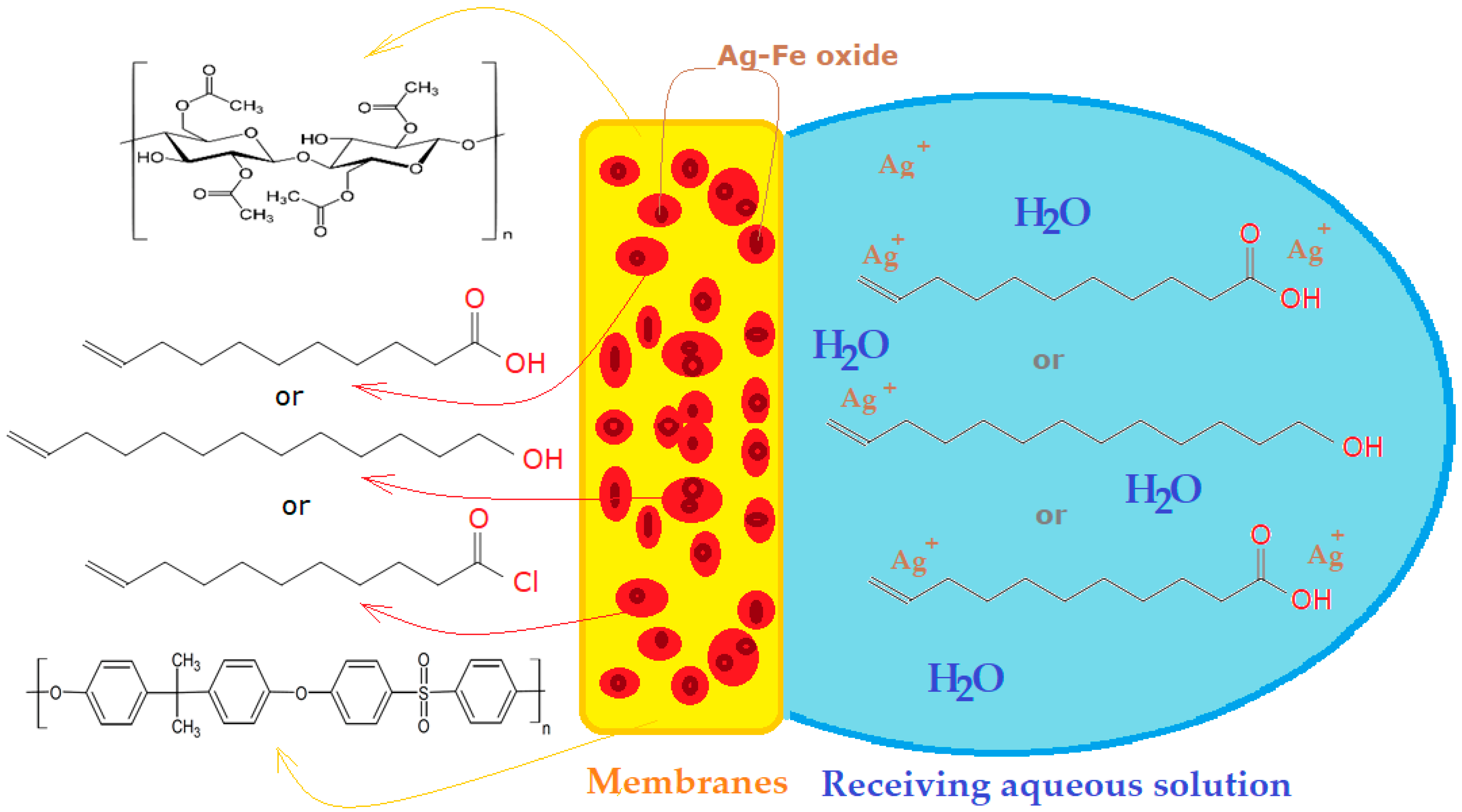 Membranes 12 00557 g005 Membranes 12 00557 g005