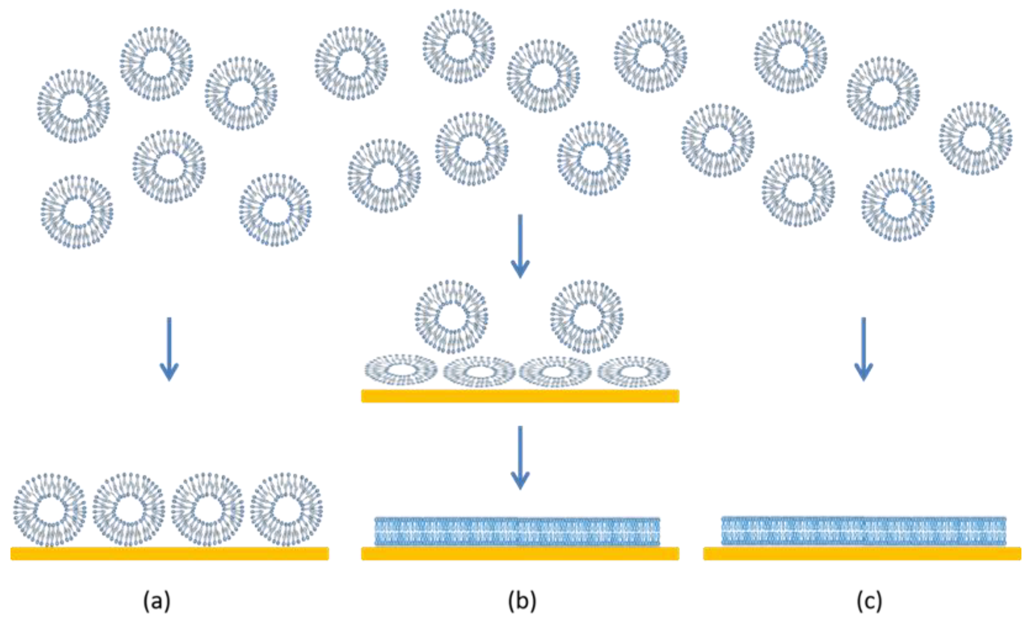 Membranes 12 00558 g001
