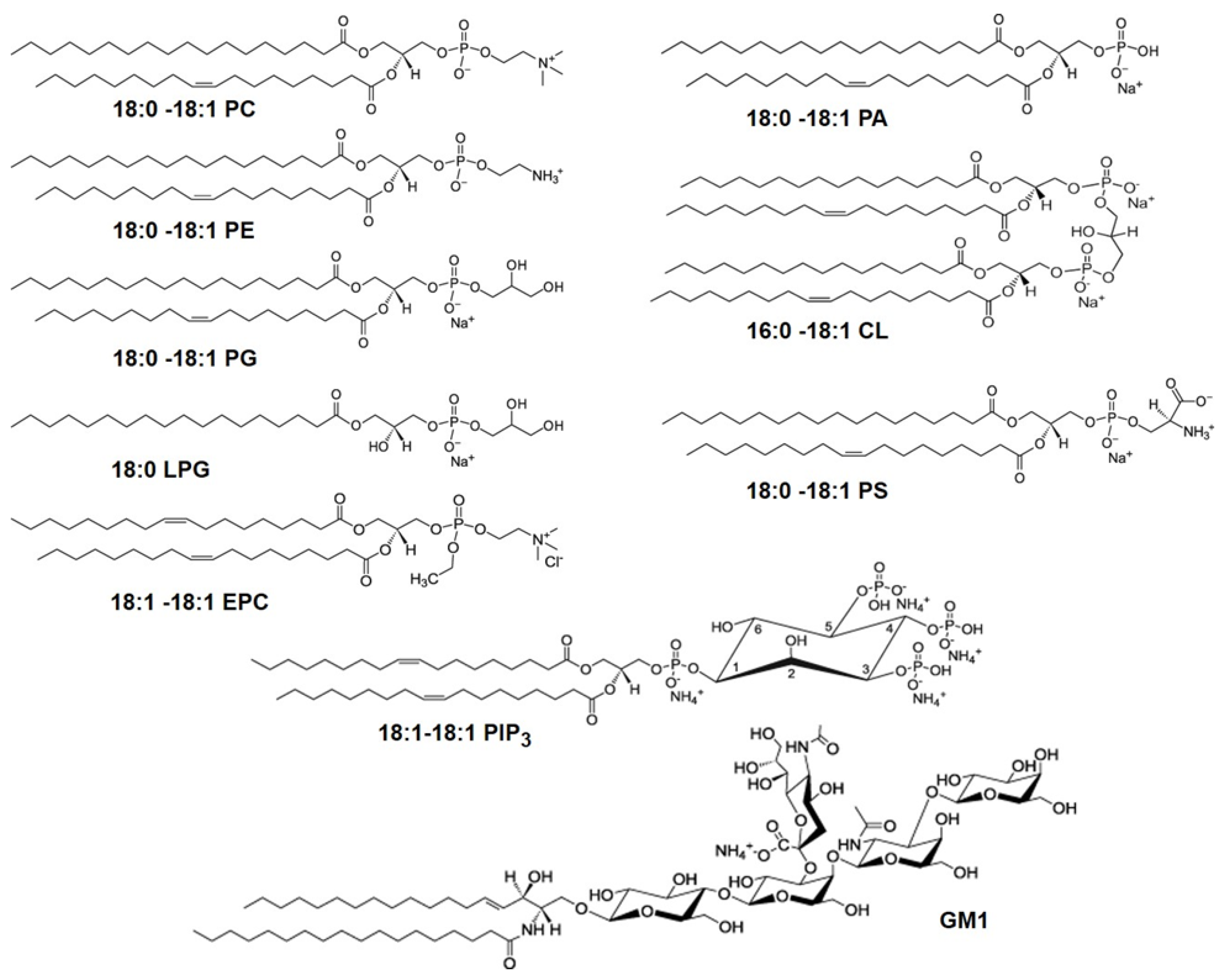 Membranes 12 00558 g003
