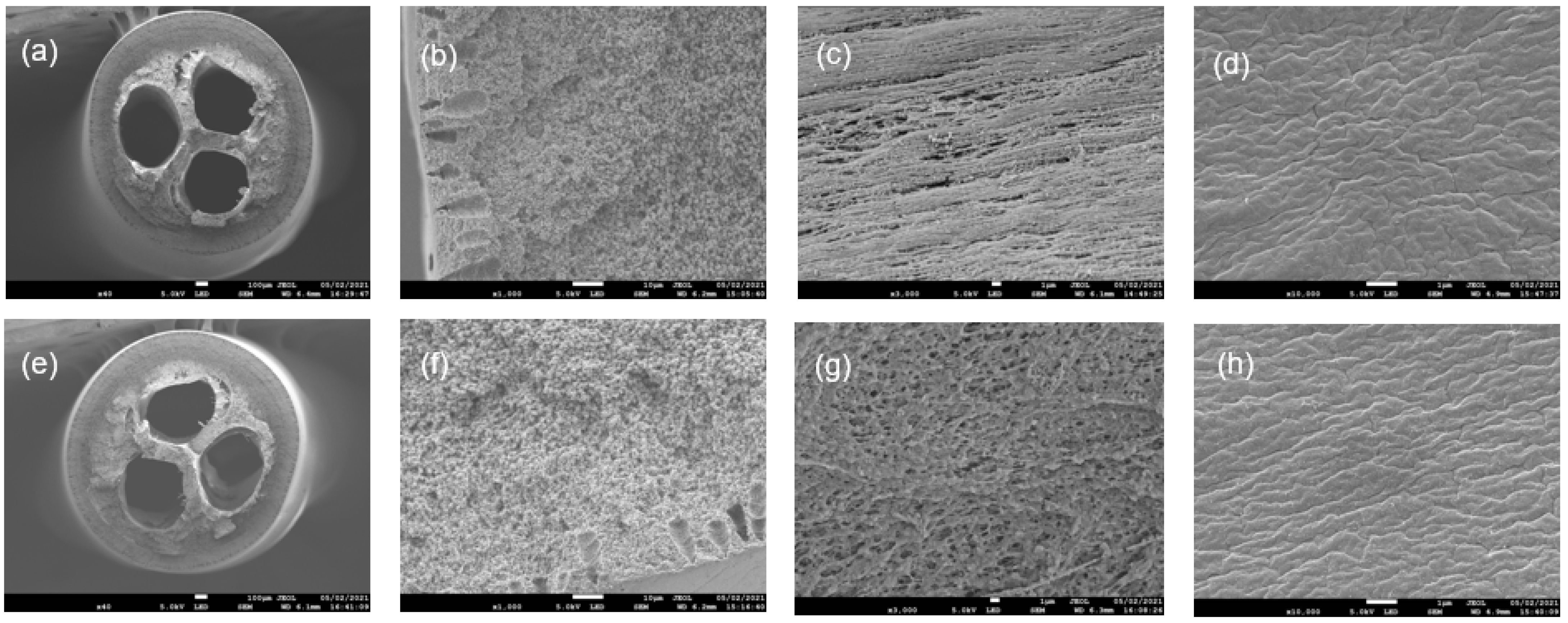 Membranes 12 00573 g005 Membranes 12 00573 g005