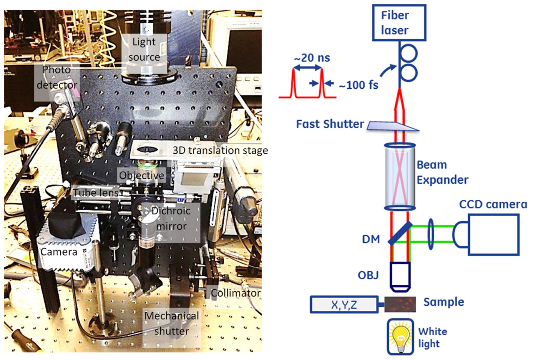 Membranes 12 00574 g001