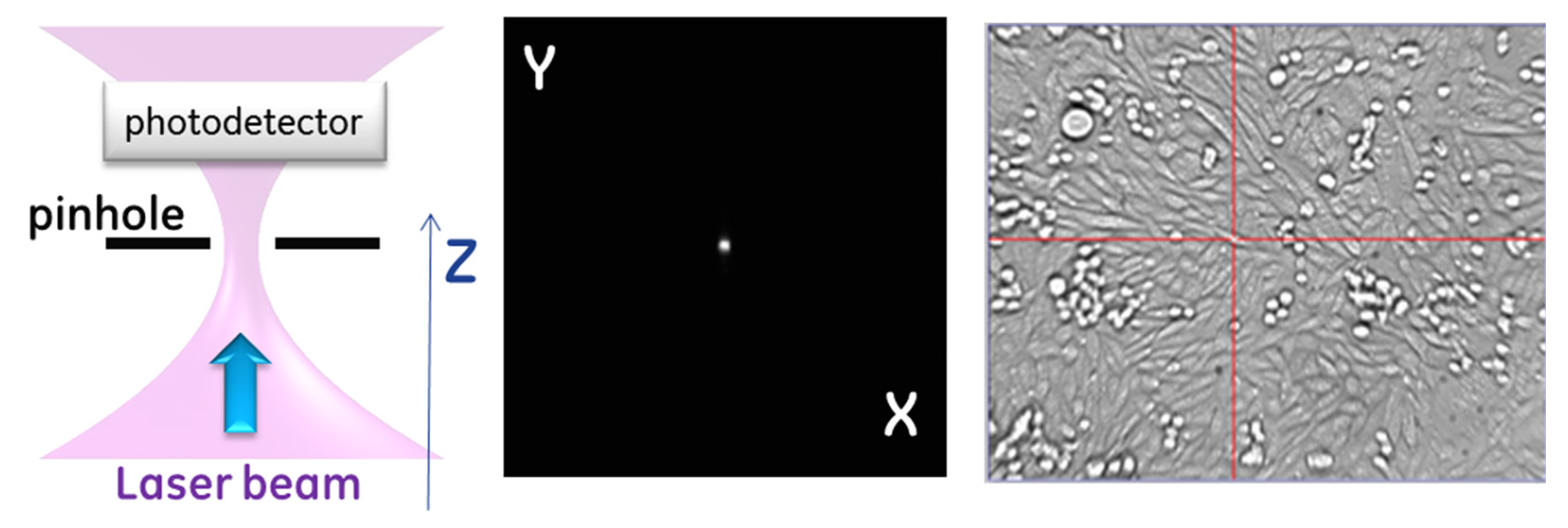 Membranes 12 00574 g002