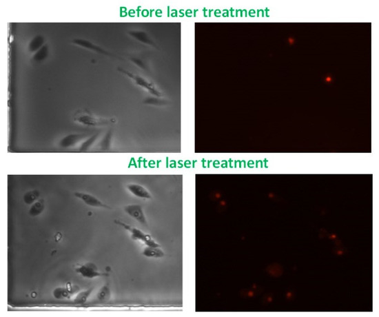 Membranes 12 00574 g0a1