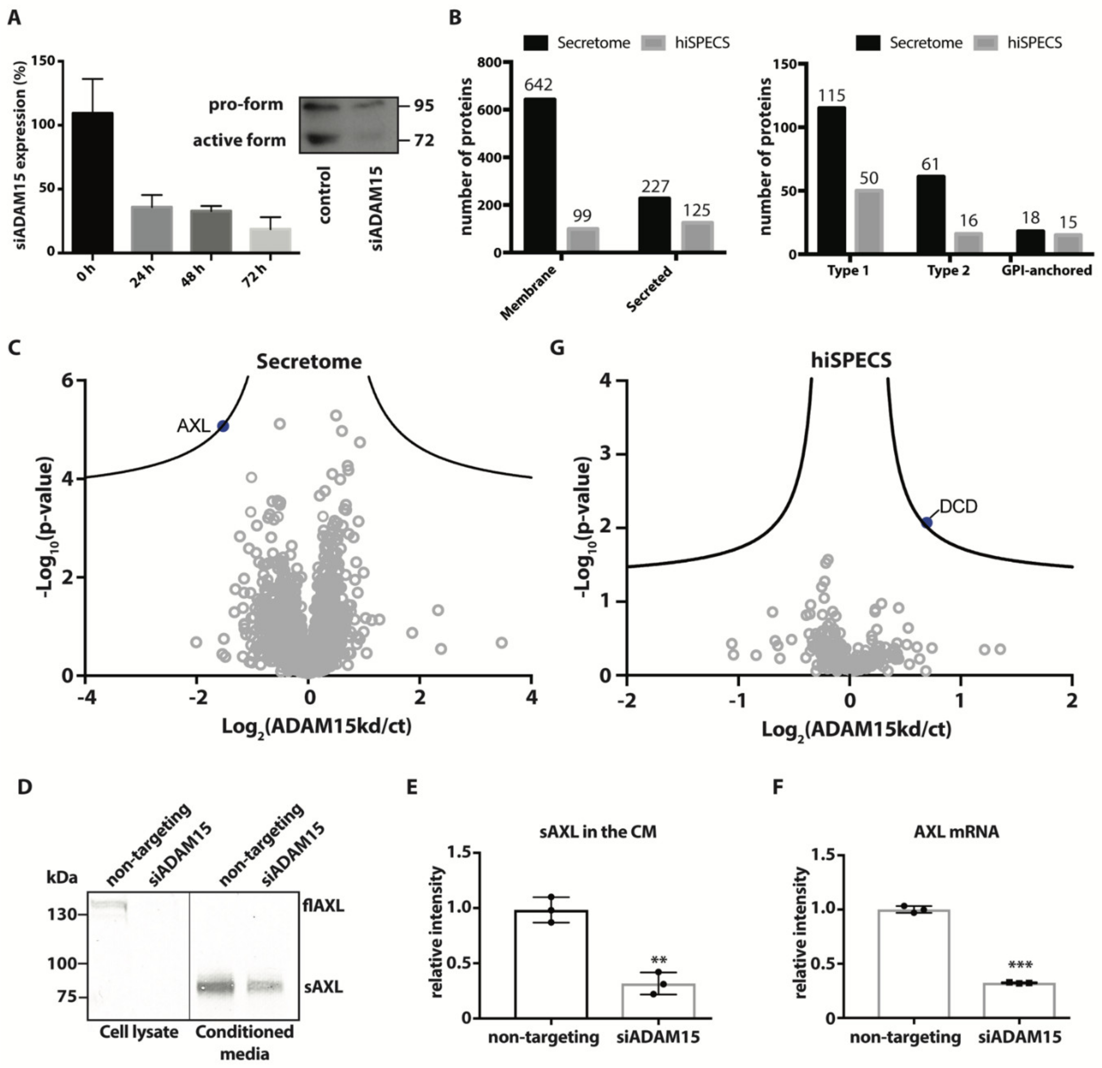 Membranes 12 00578 g001
