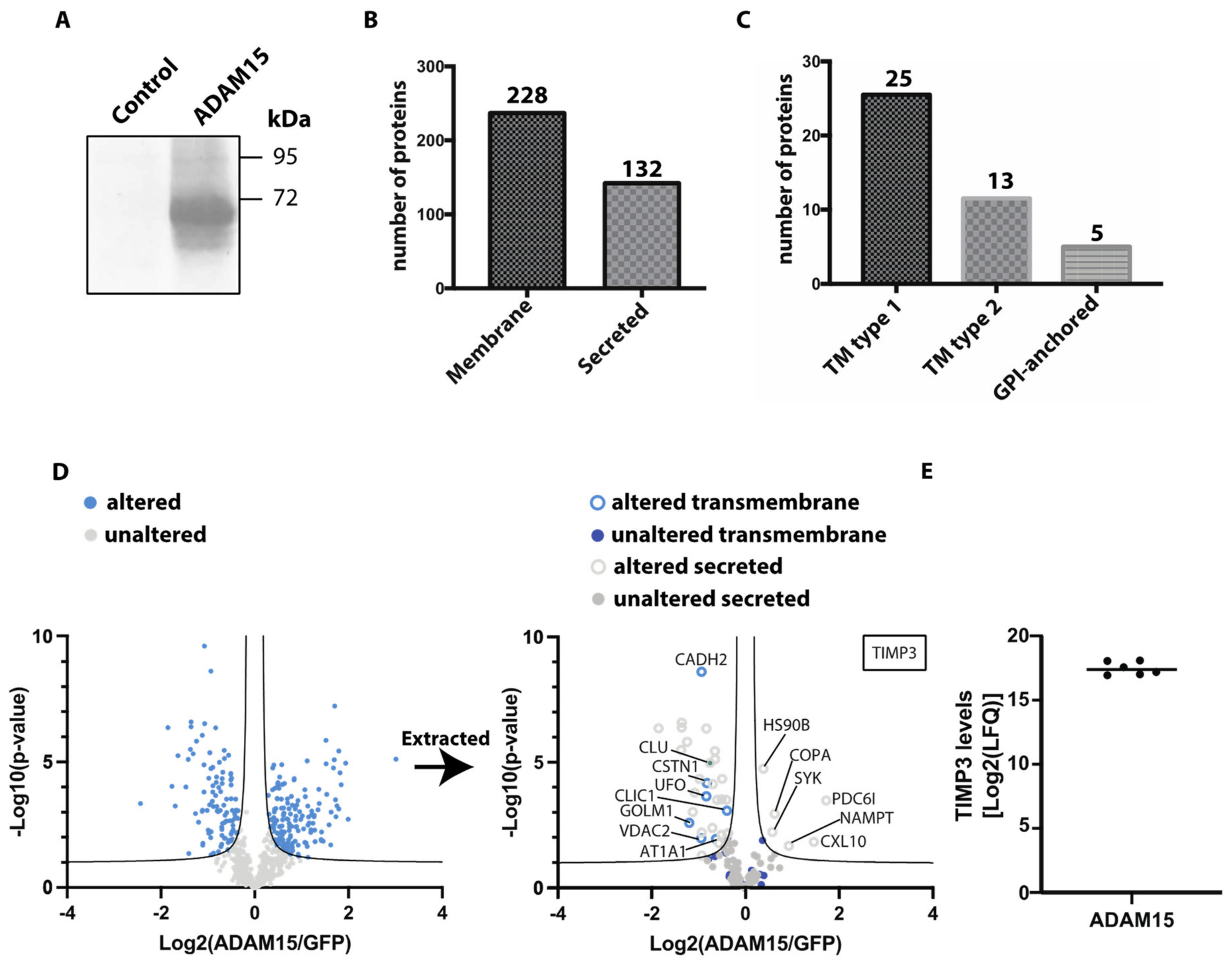 Membranes 12 00578 g002