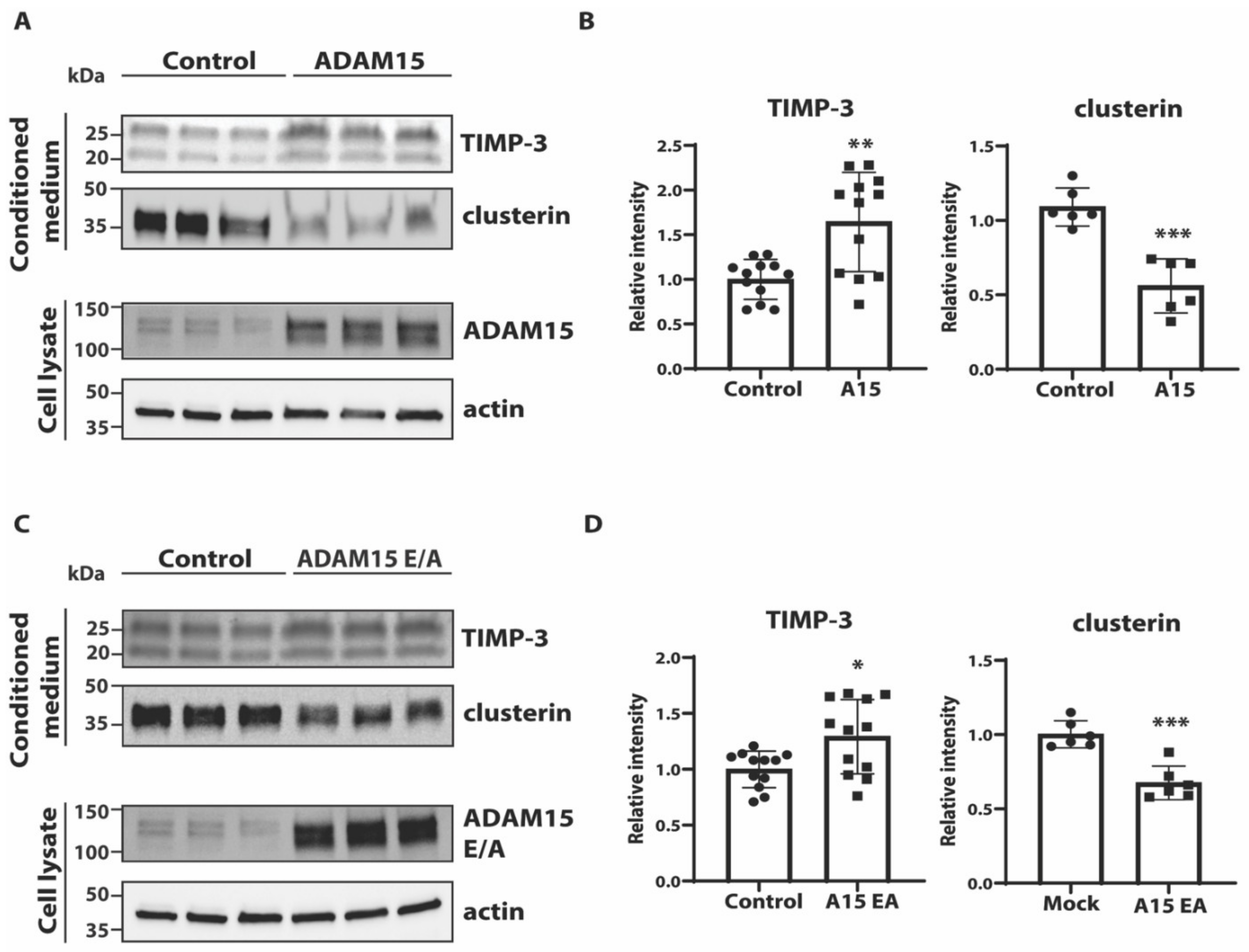 Membranes 12 00578 g003