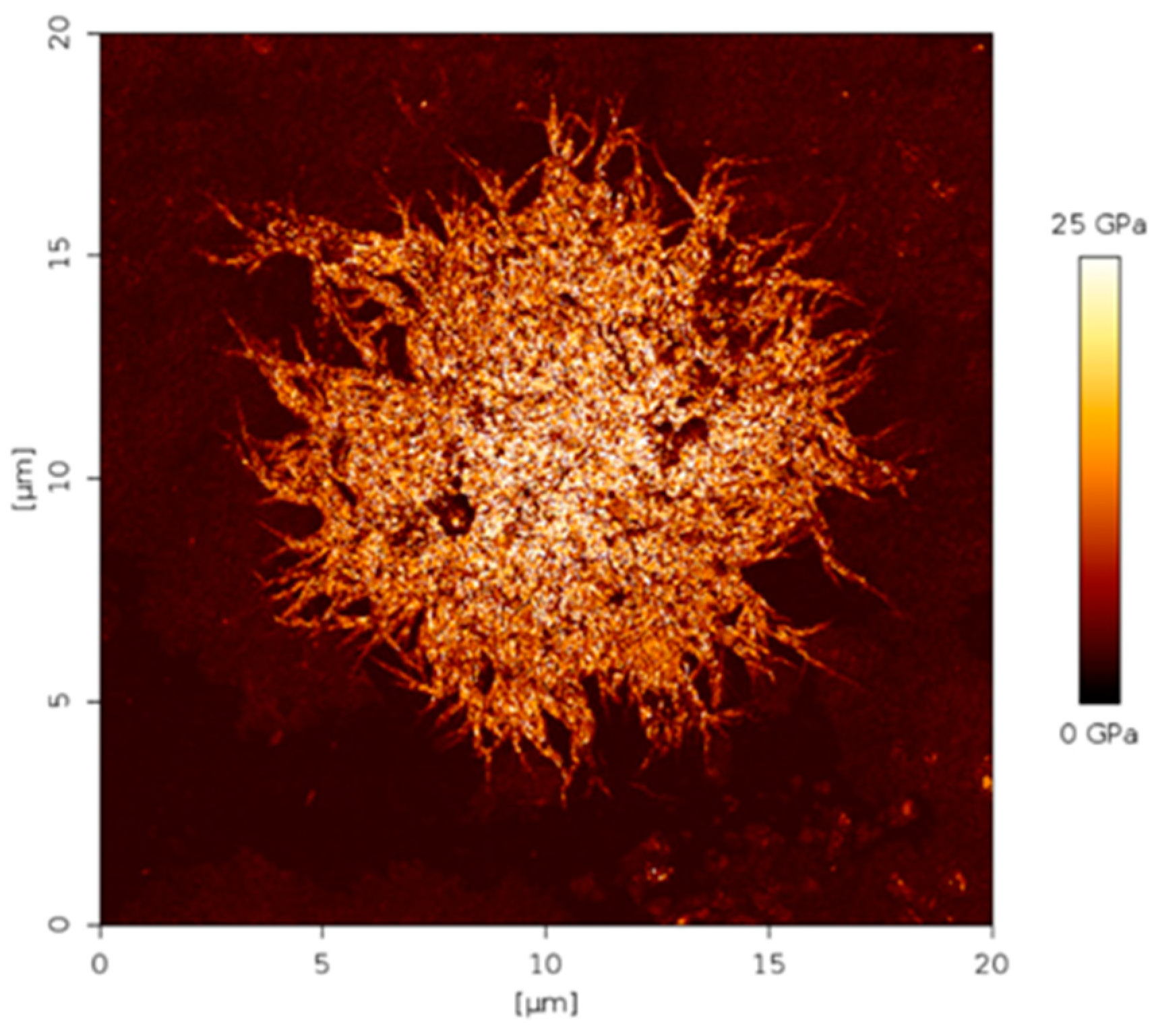 Membranes 12 00584 g005