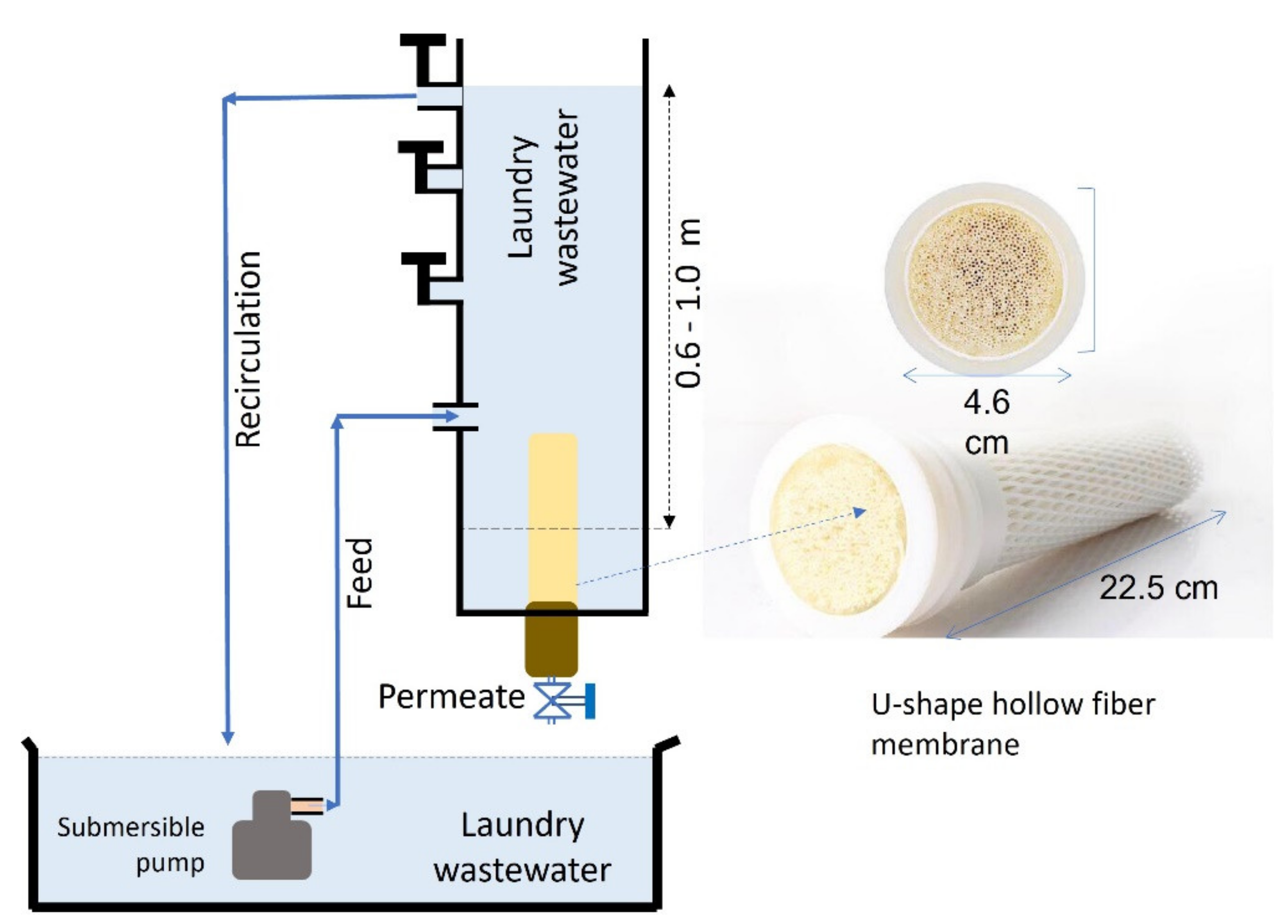 Membranes 12 00591 g001