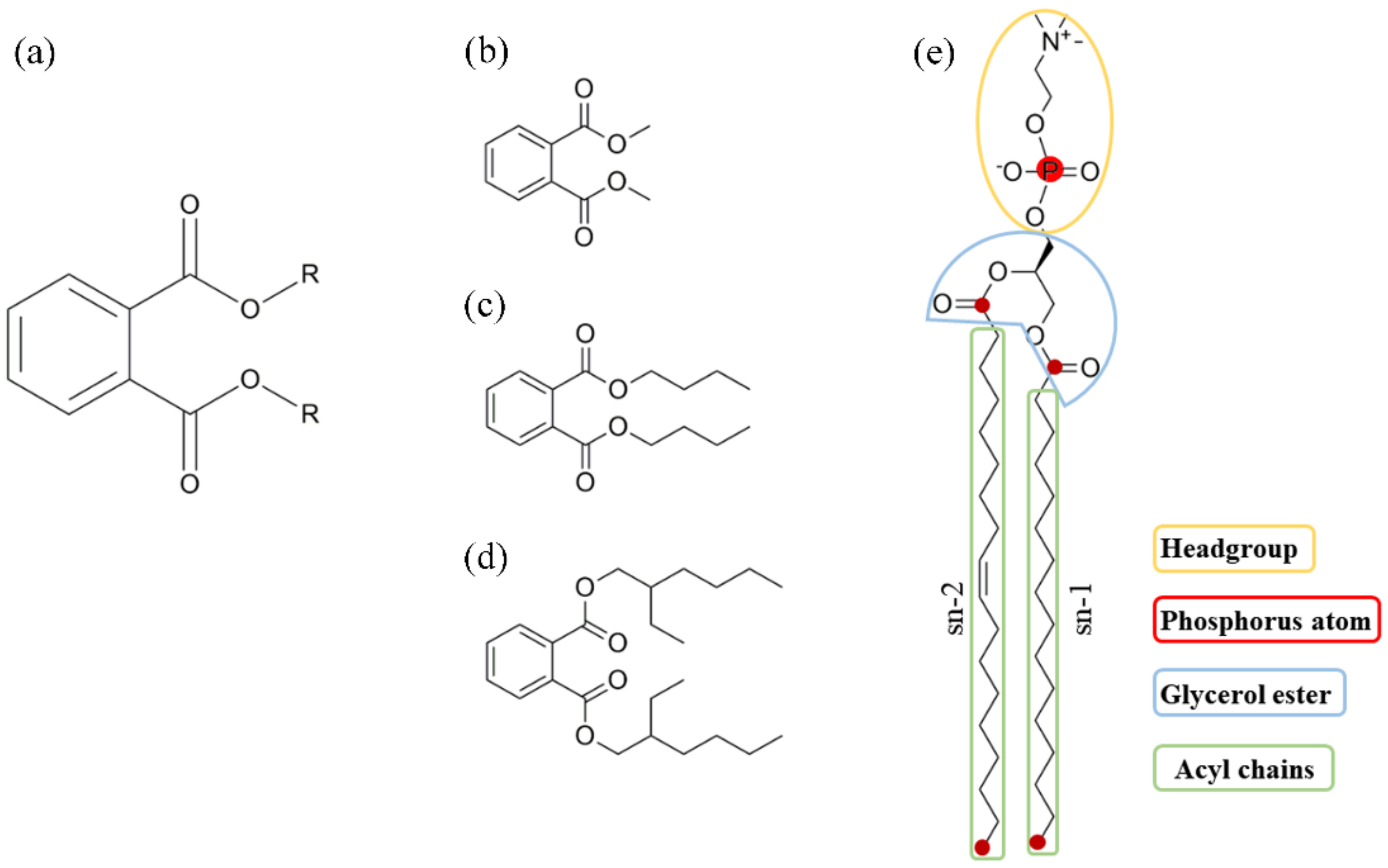 Membranes 12 00596 g001