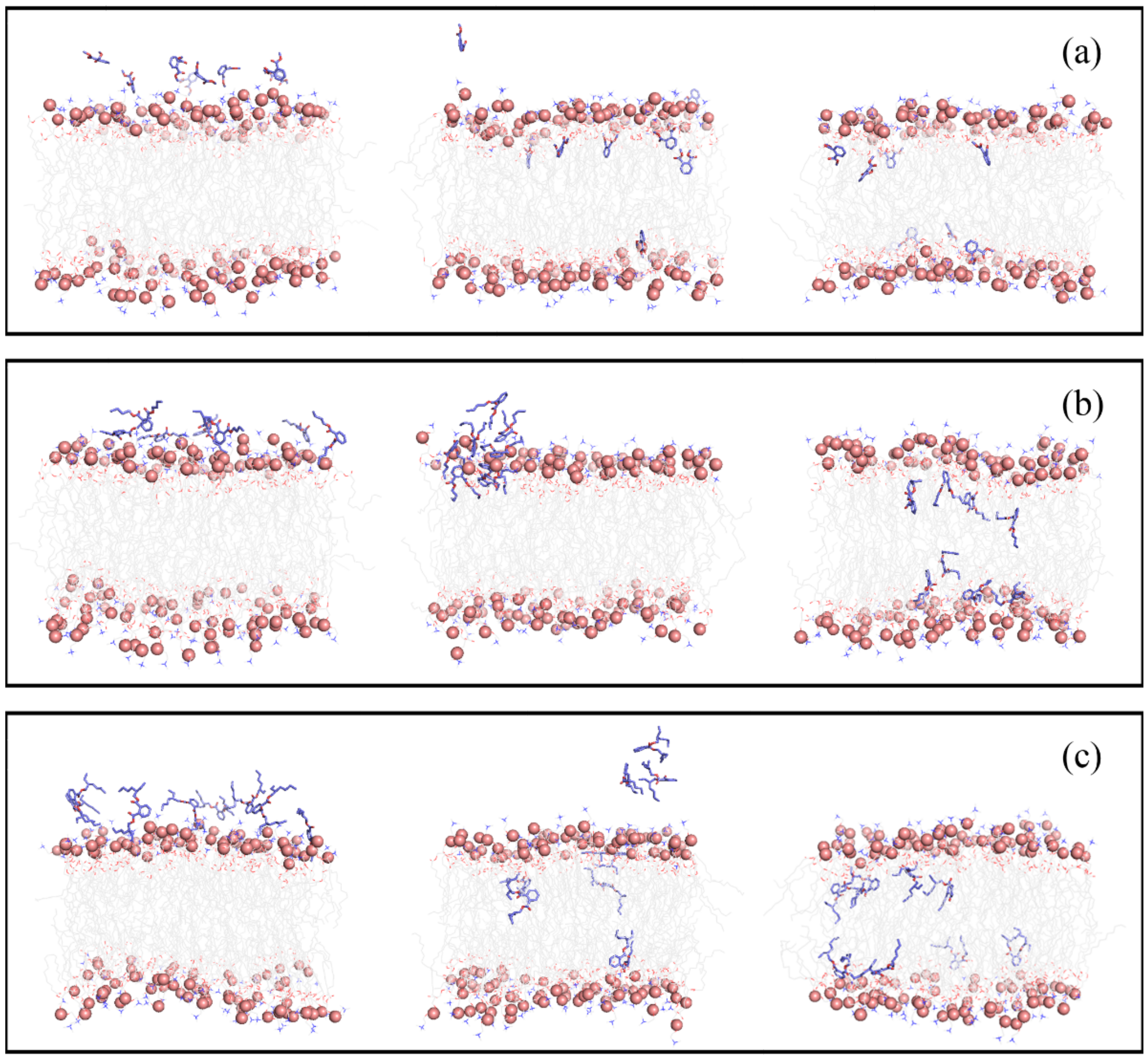 Membranes 12 00596 g002