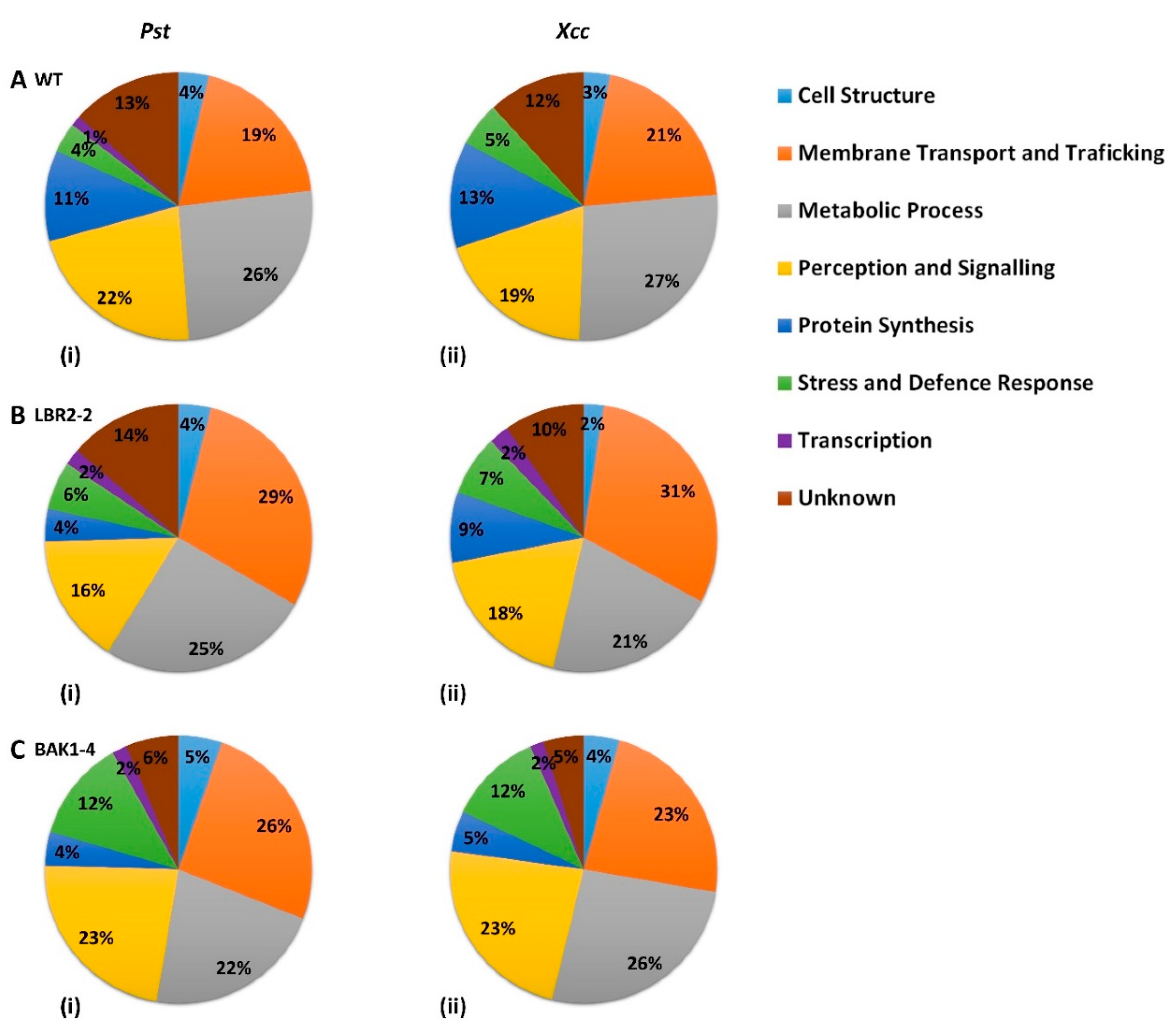 Membranes 12 00606 g002