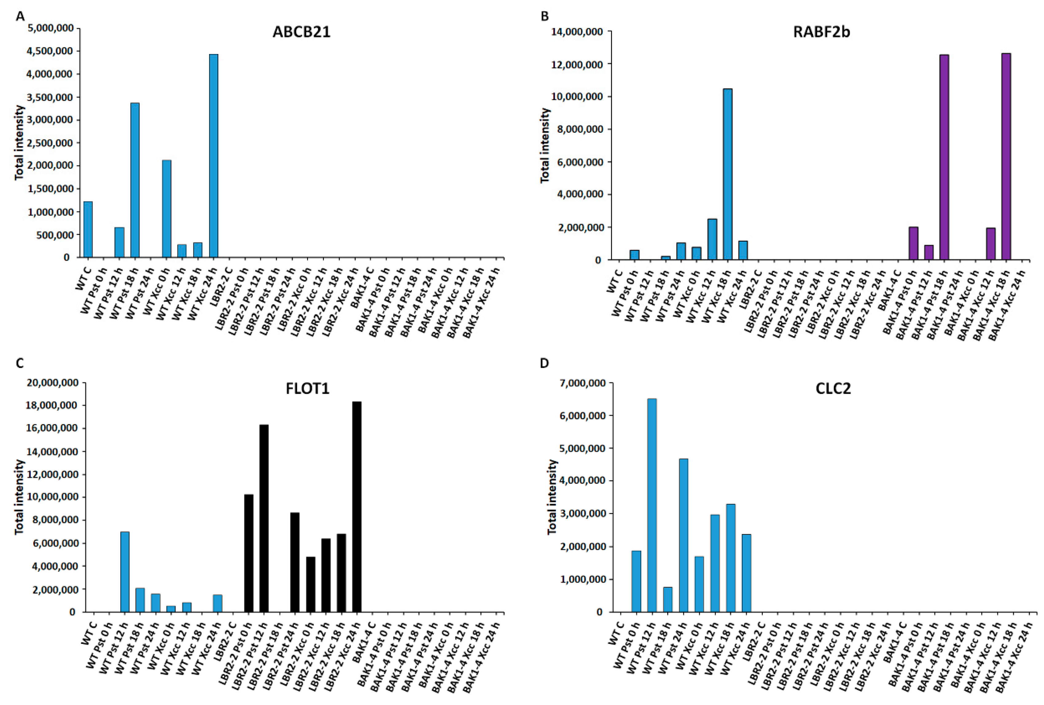 Membranes 12 00606 g004