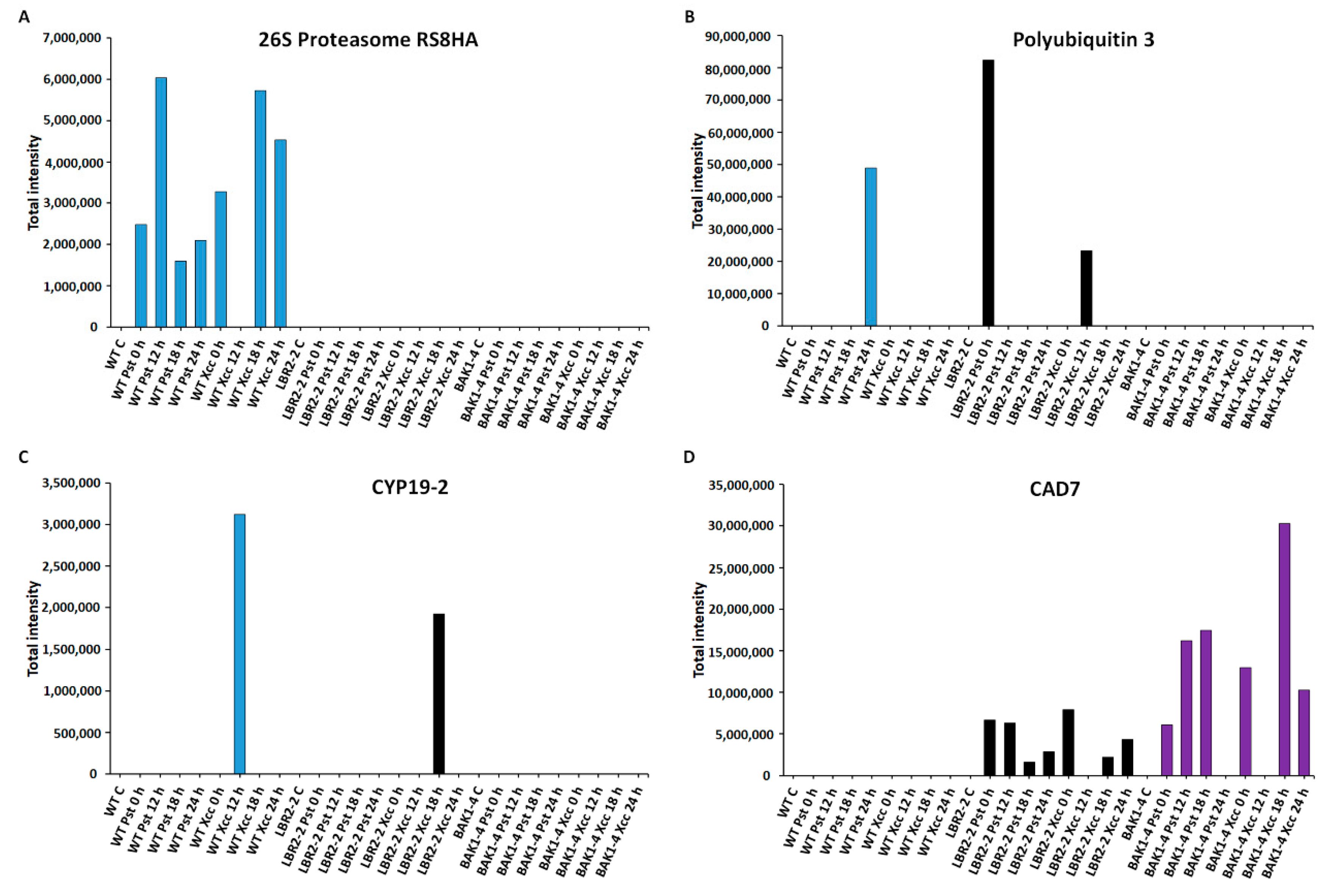 Membranes 12 00606 g006