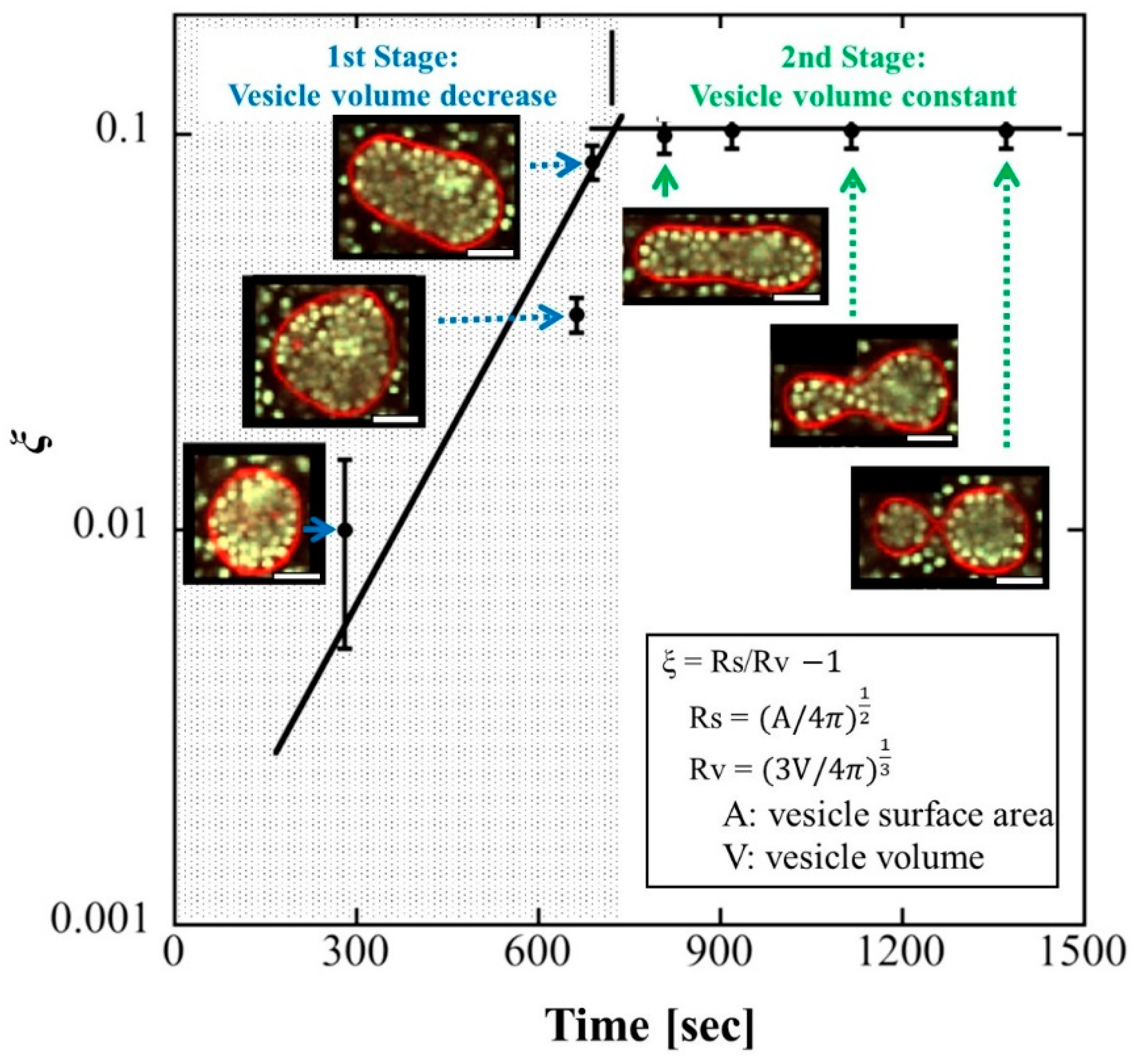 Membranes 12 00608 g001