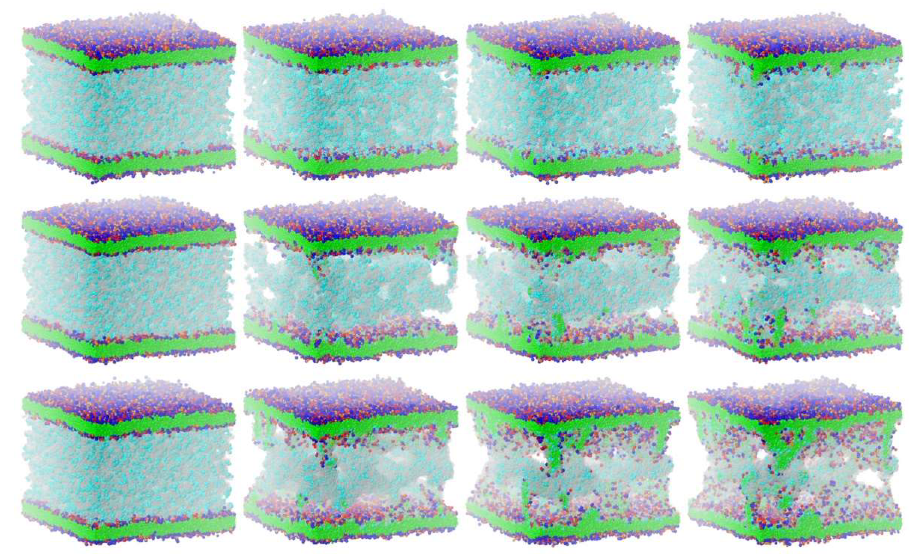 Membranes 12 00619 g003