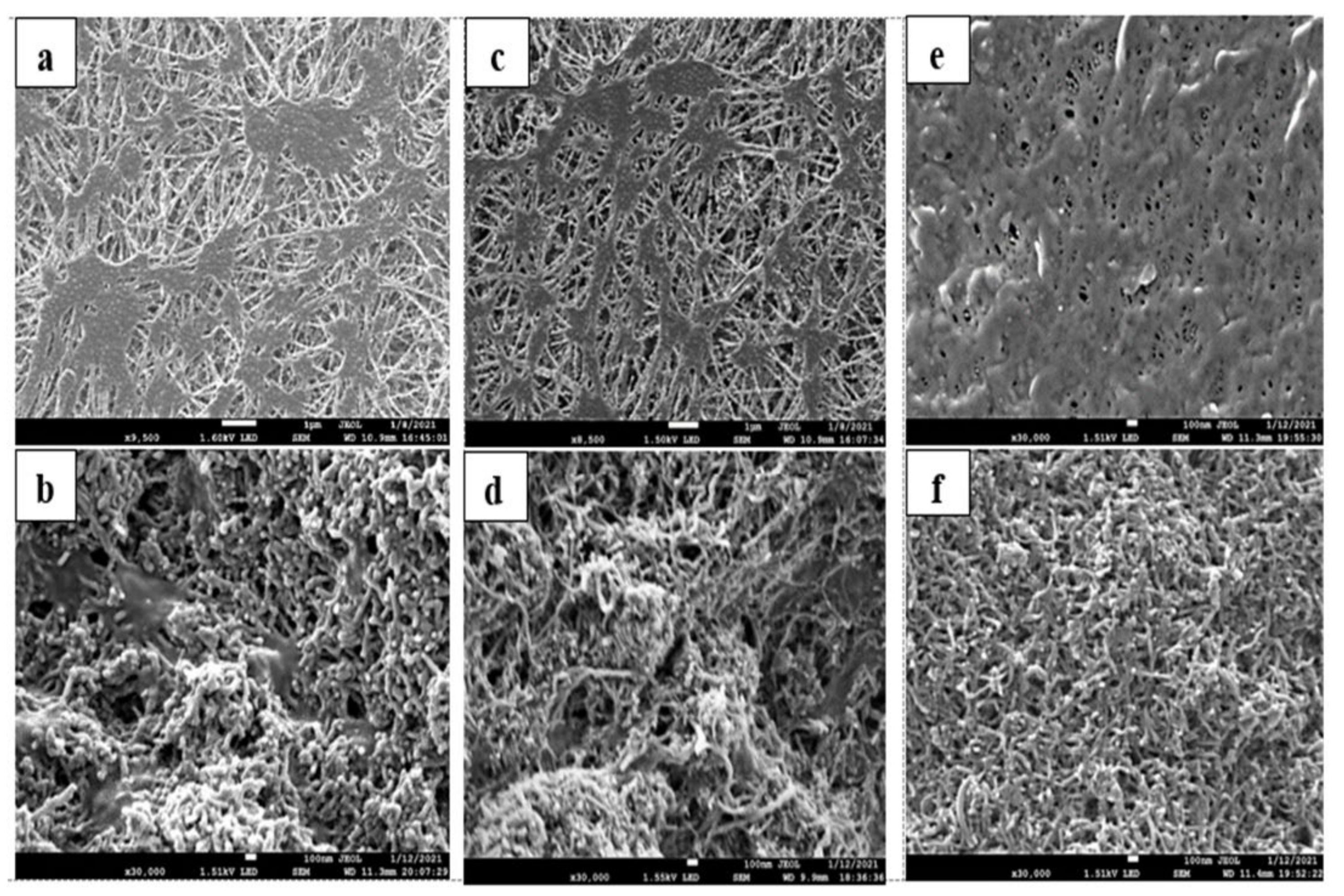 Membranes 12 00621 g002