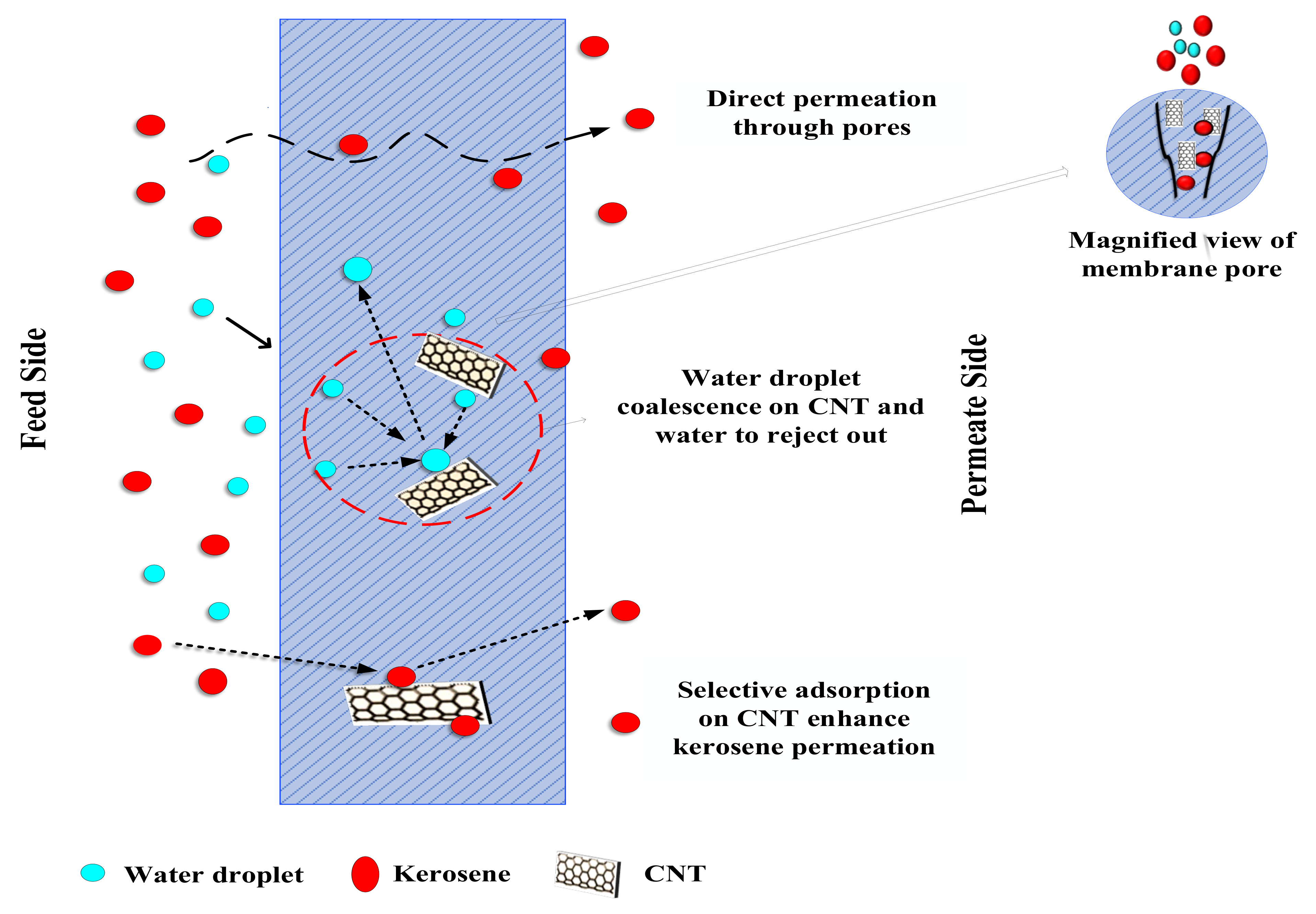 Membranes 12 00621 g006
