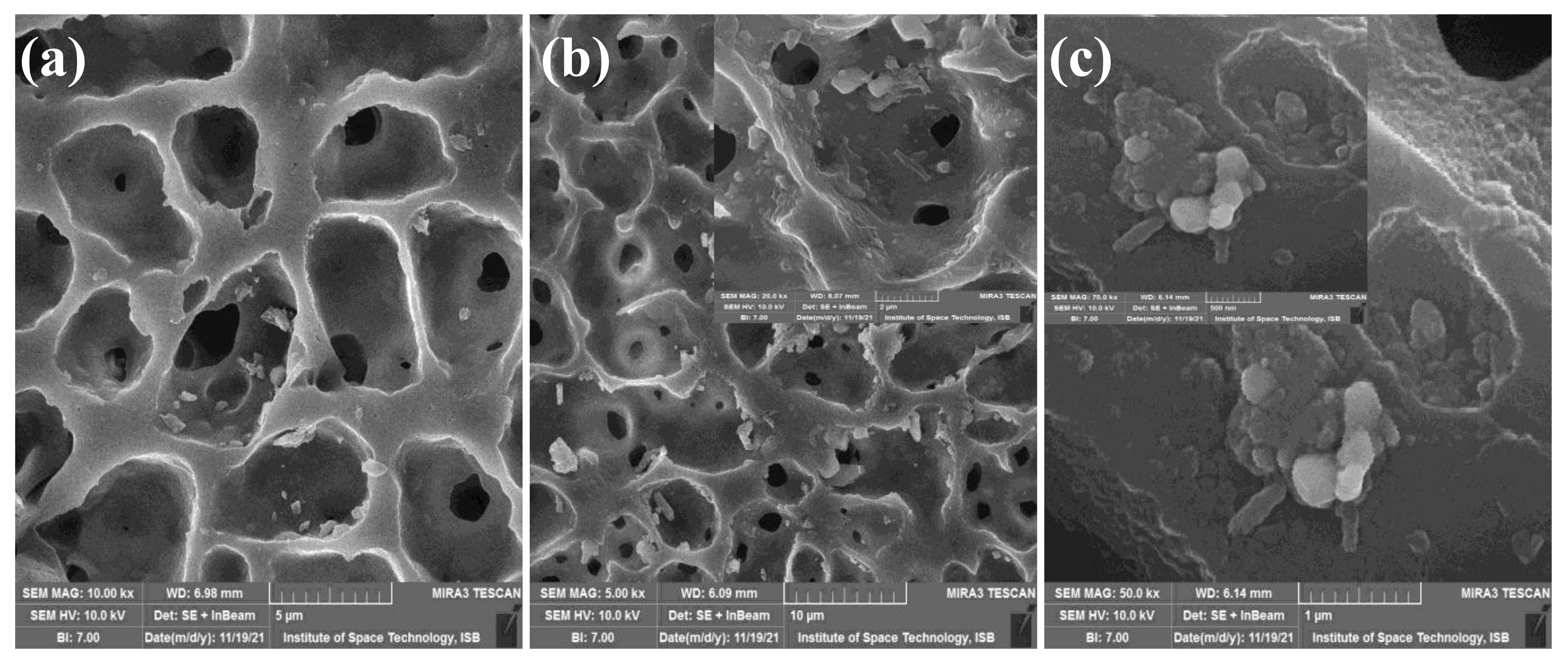 Membranes 12 00630 g003
