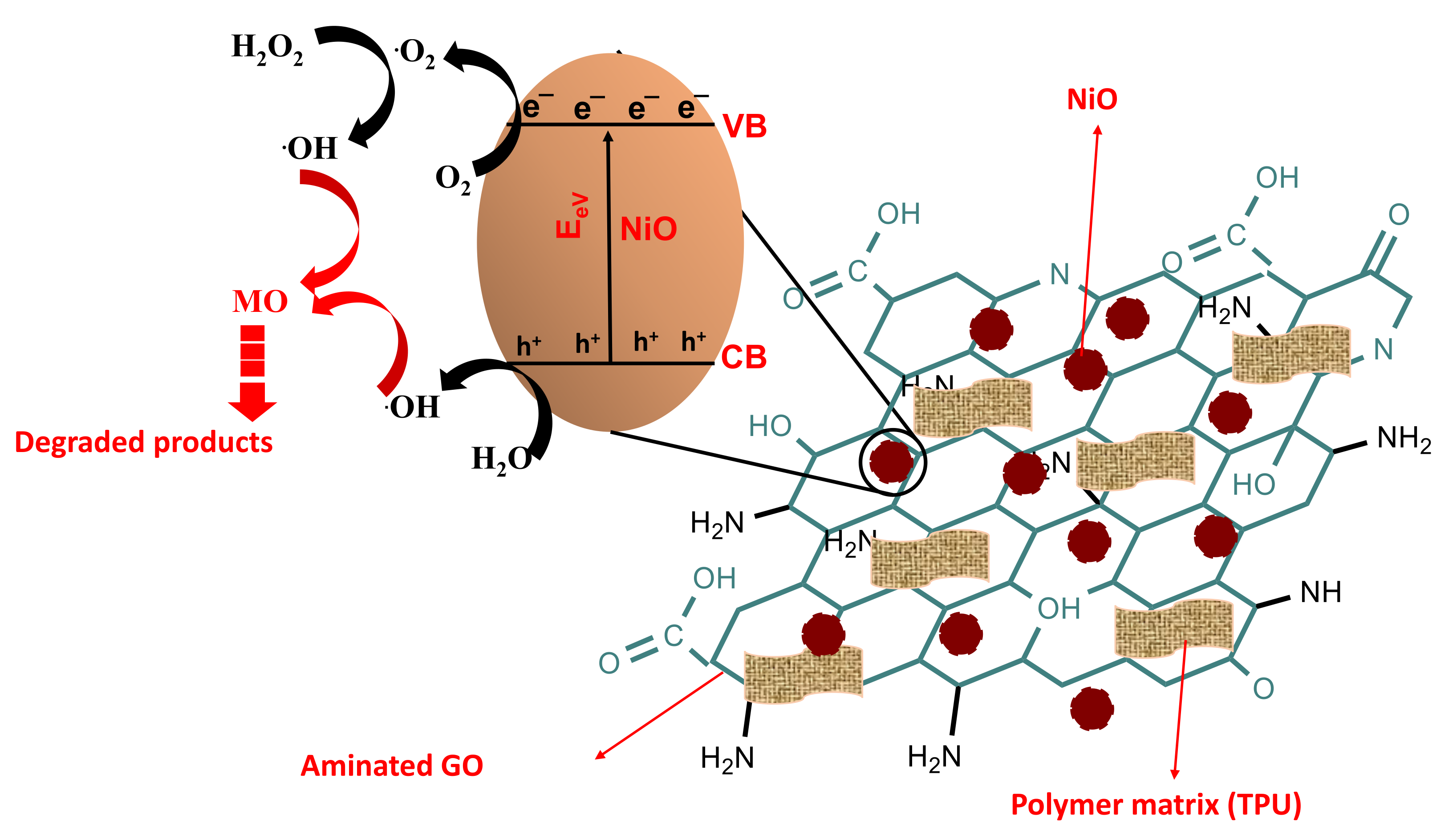 Membranes 12 00630 g010