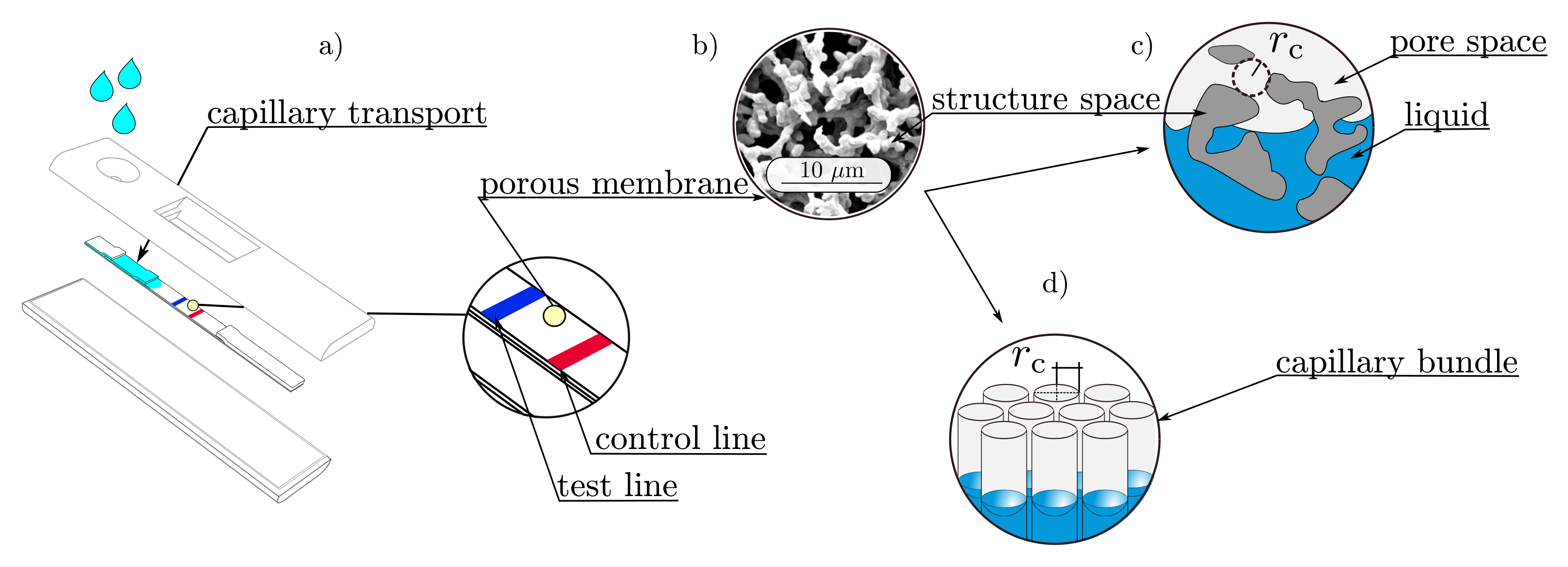 Membranes 12 00638 g001