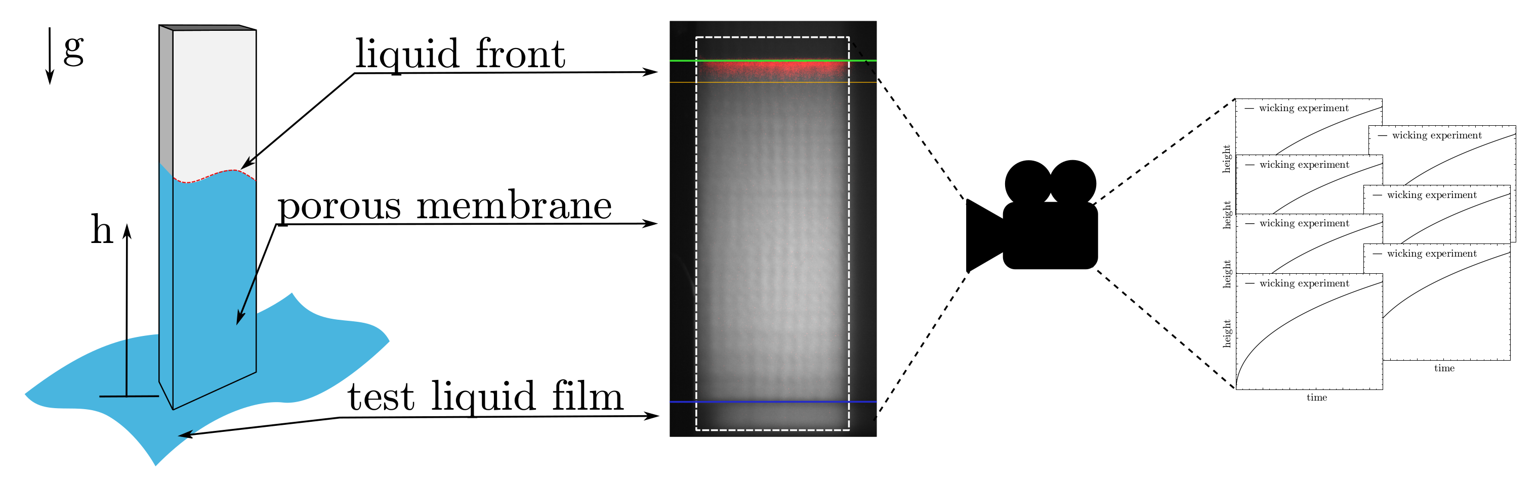 Membranes 12 00638 g004