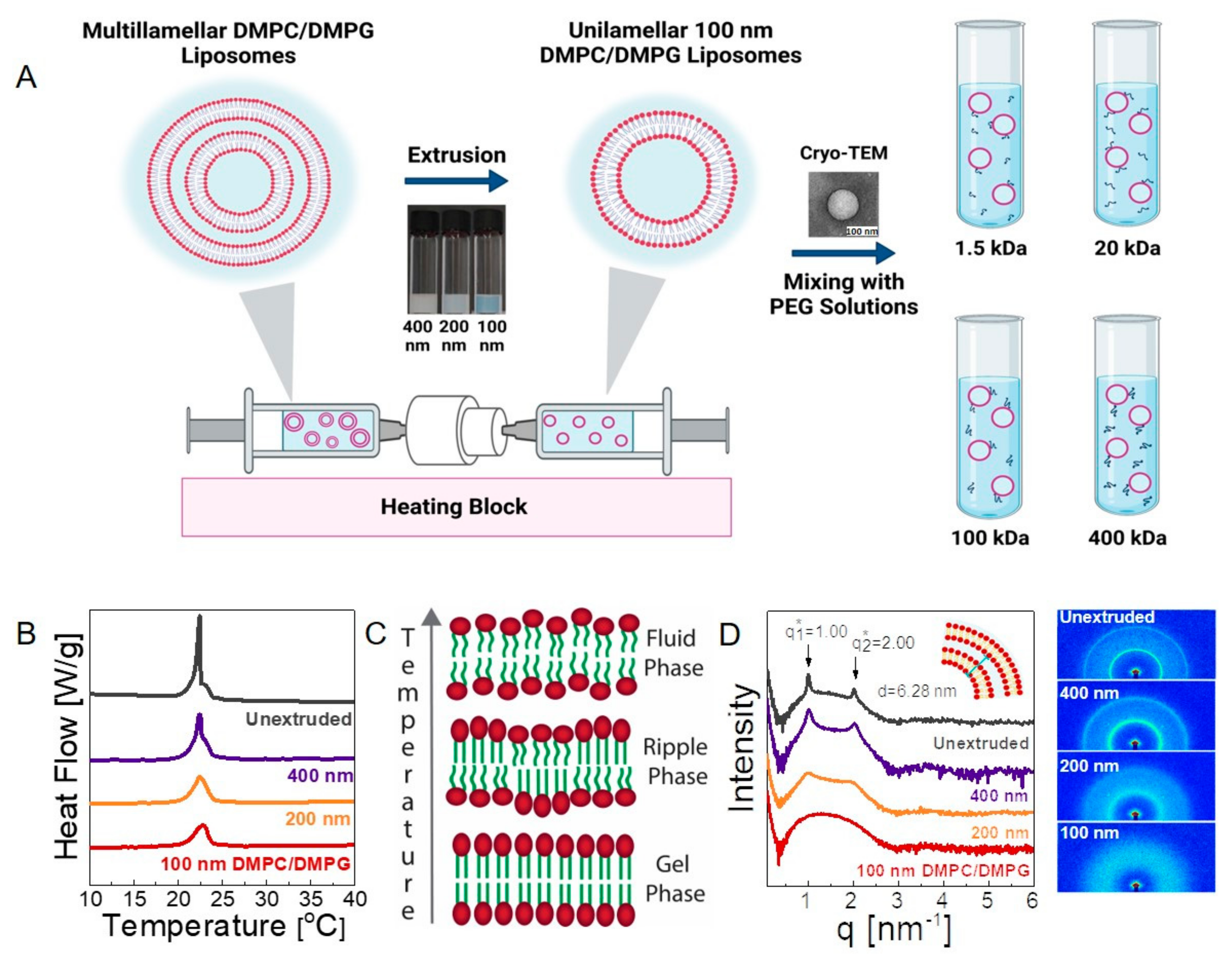 Membranes 12 00640 g001 Membranes 12 00640 g001