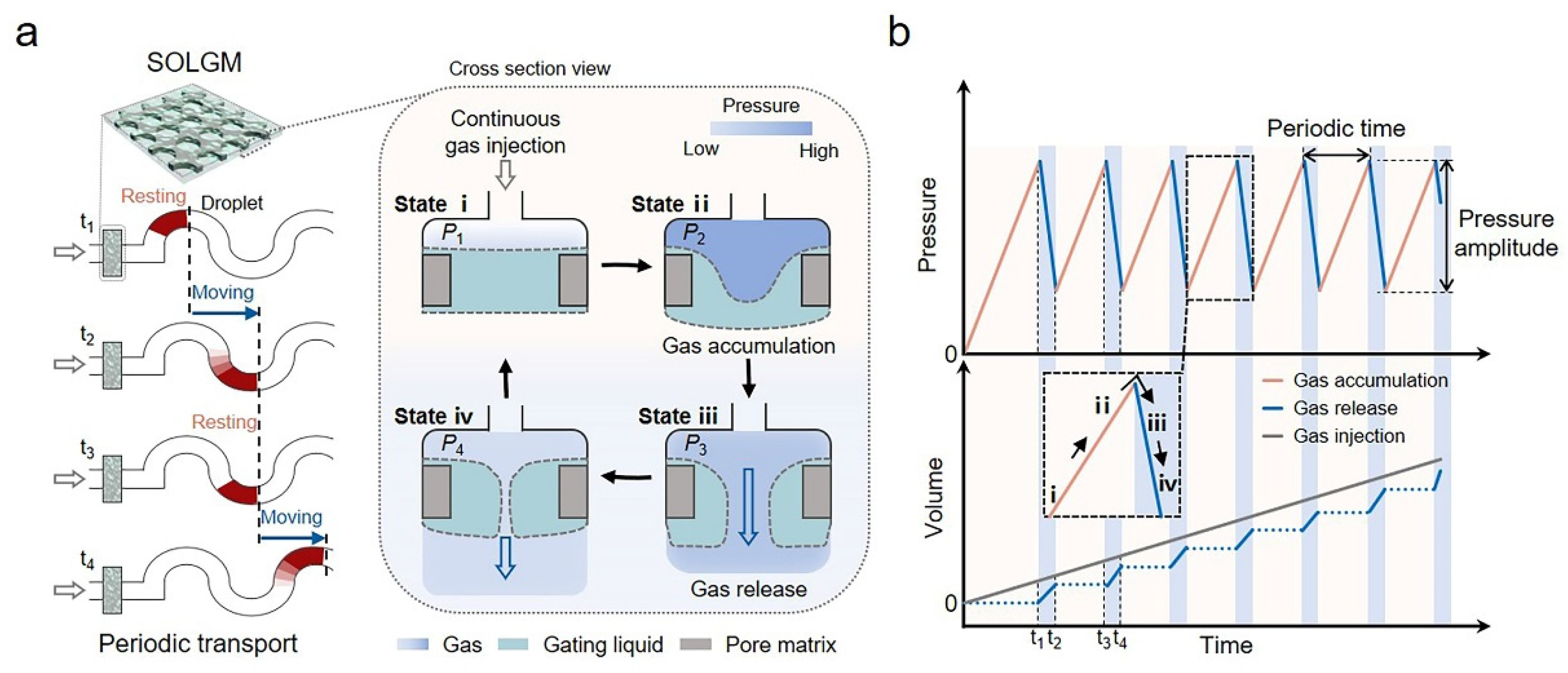 Membranes 12 00642 g001