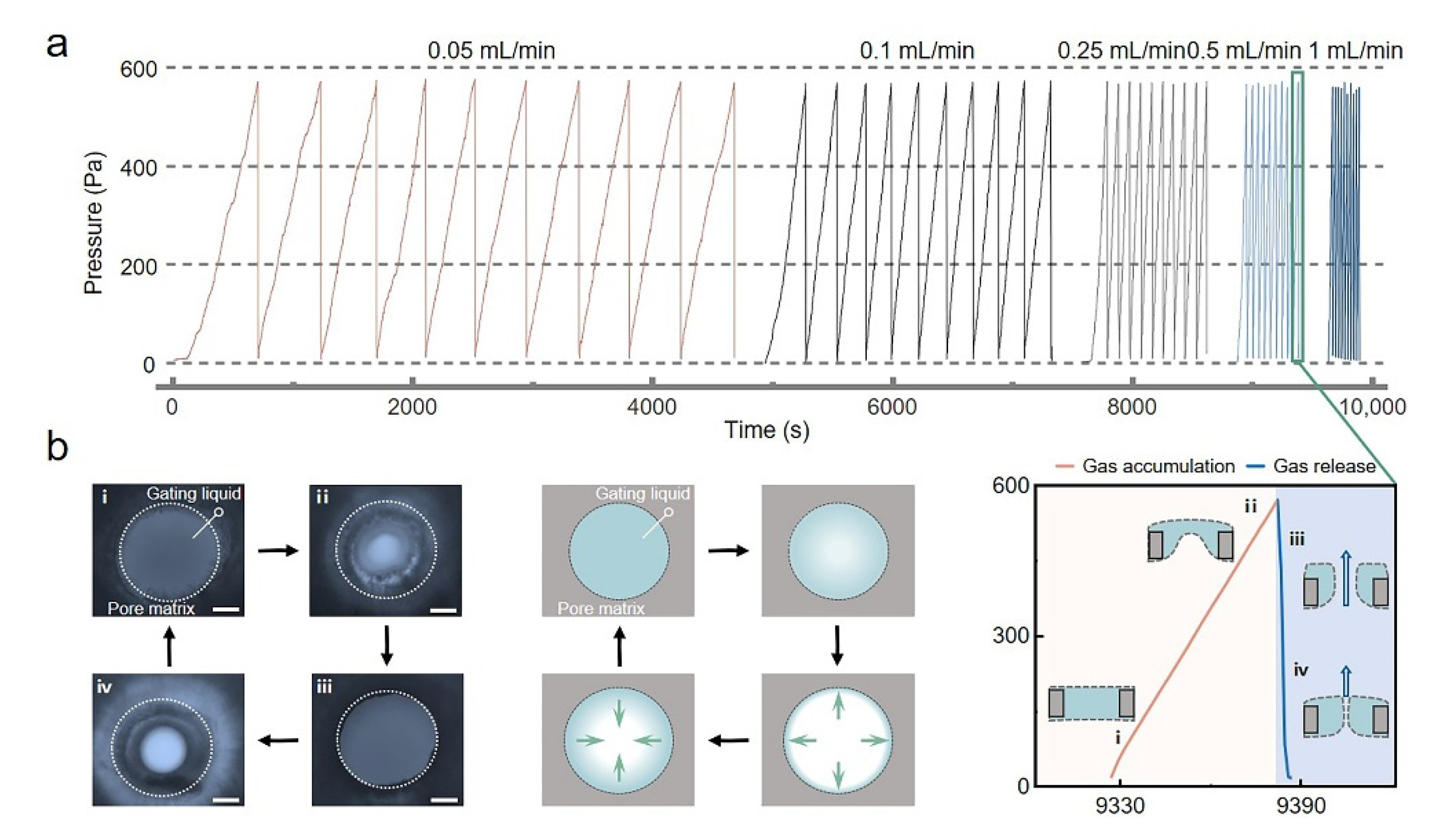 Membranes 12 00642 g002