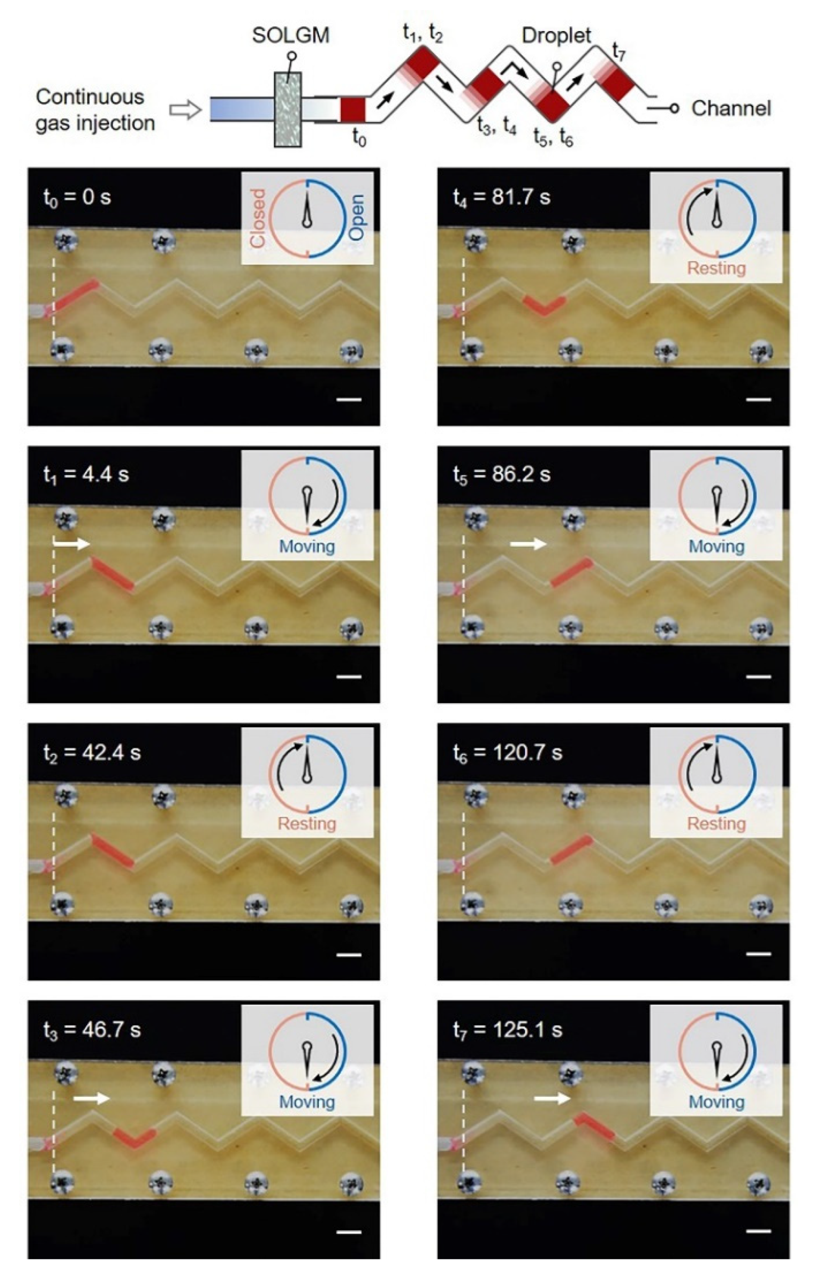 Membranes 12 00642 g005