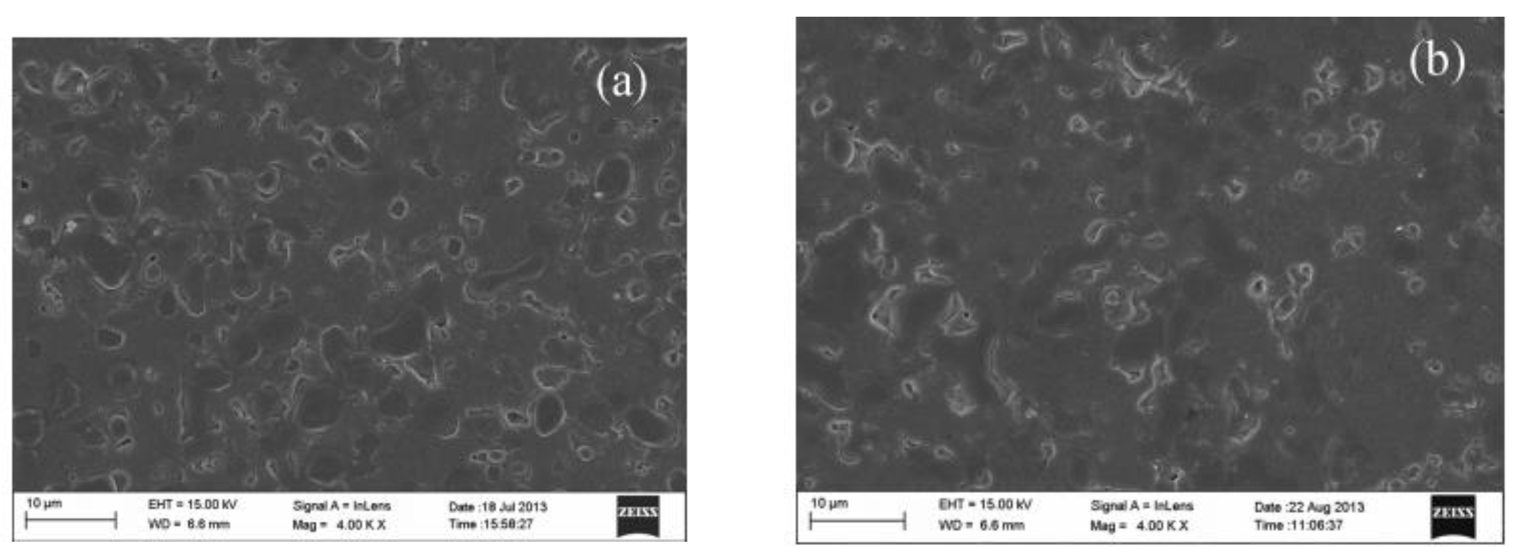 Membranes 12 00647 g006