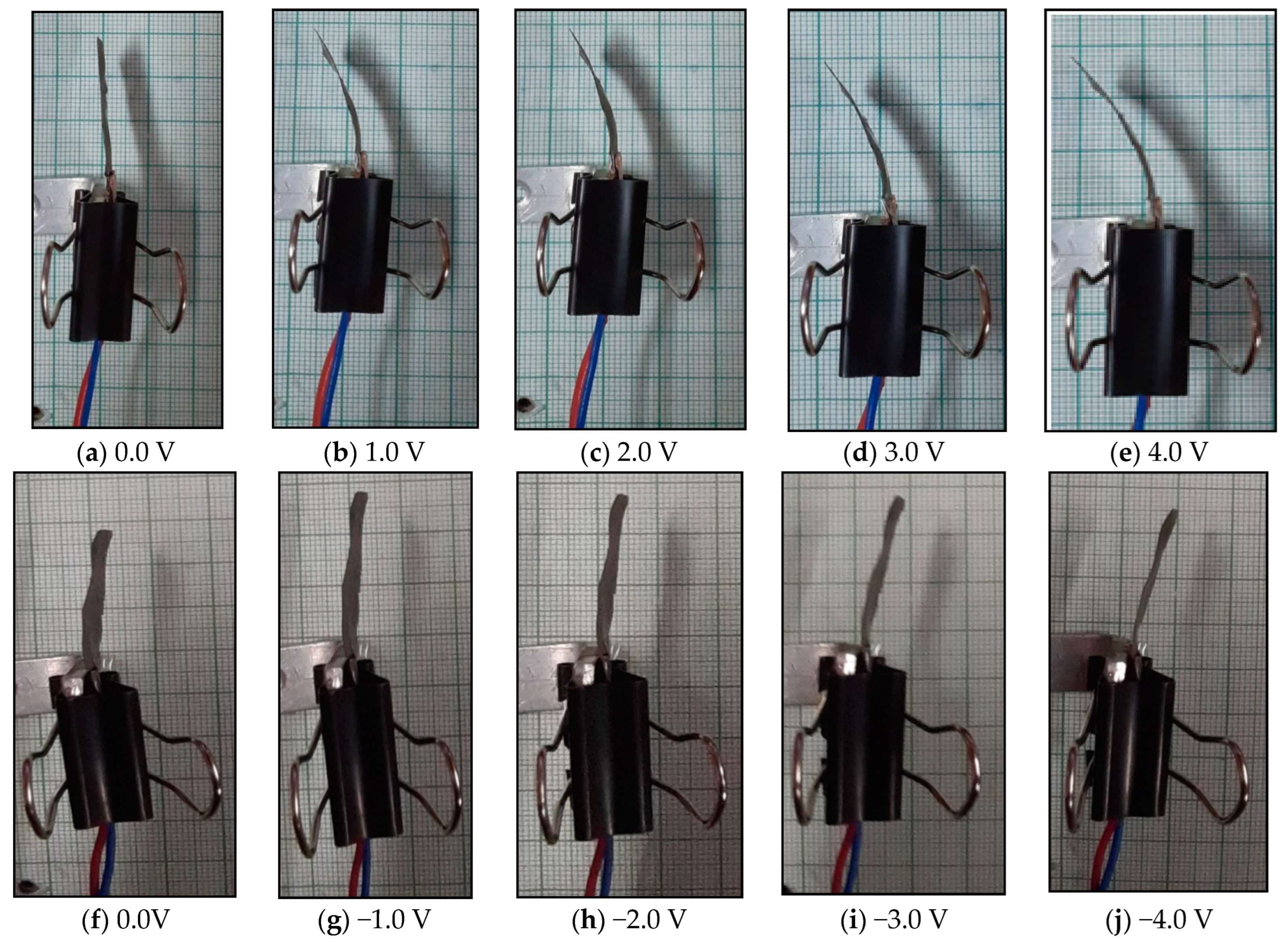 Membranes 12 00651 g003