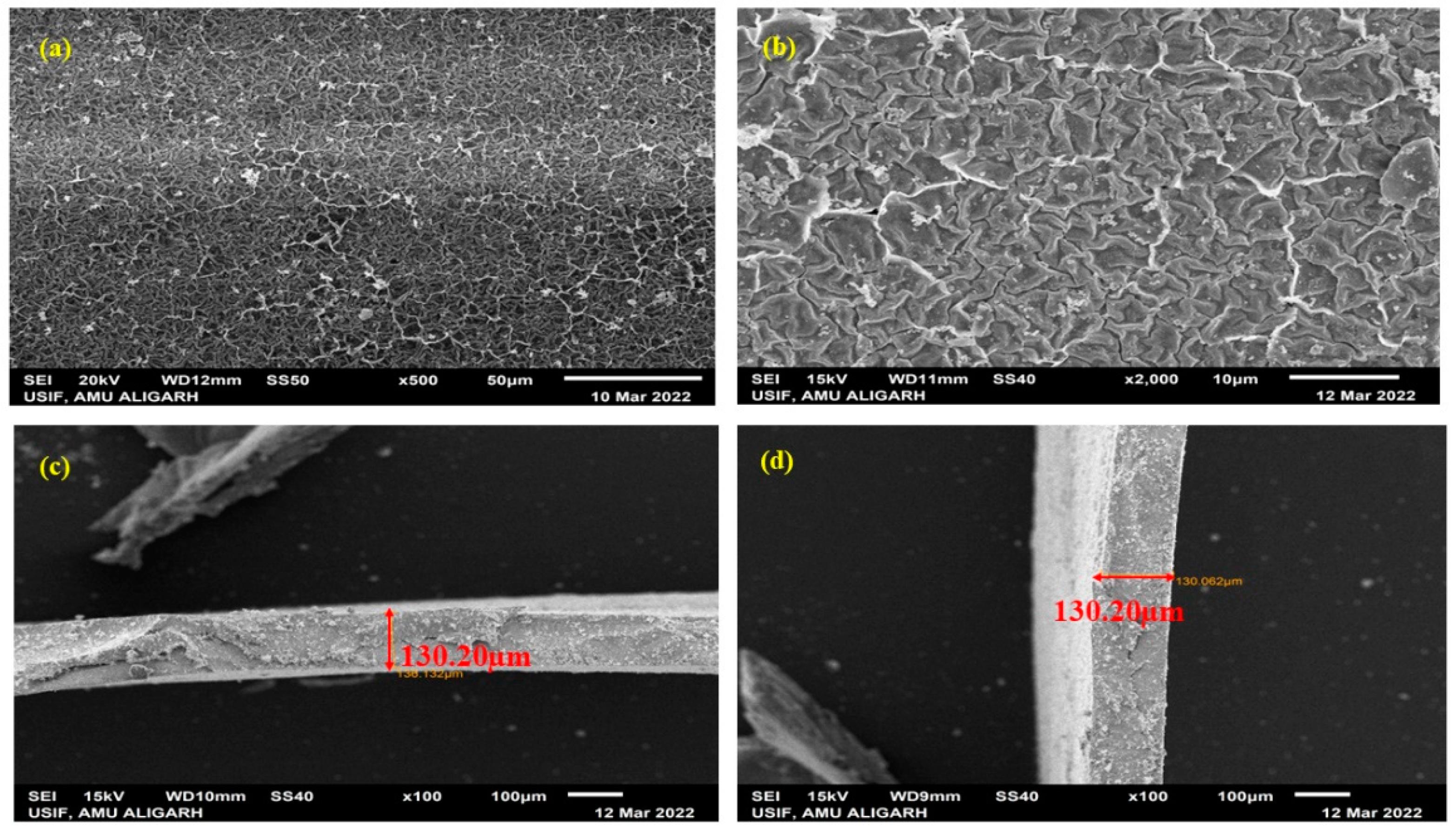 Membranes 12 00651 g010