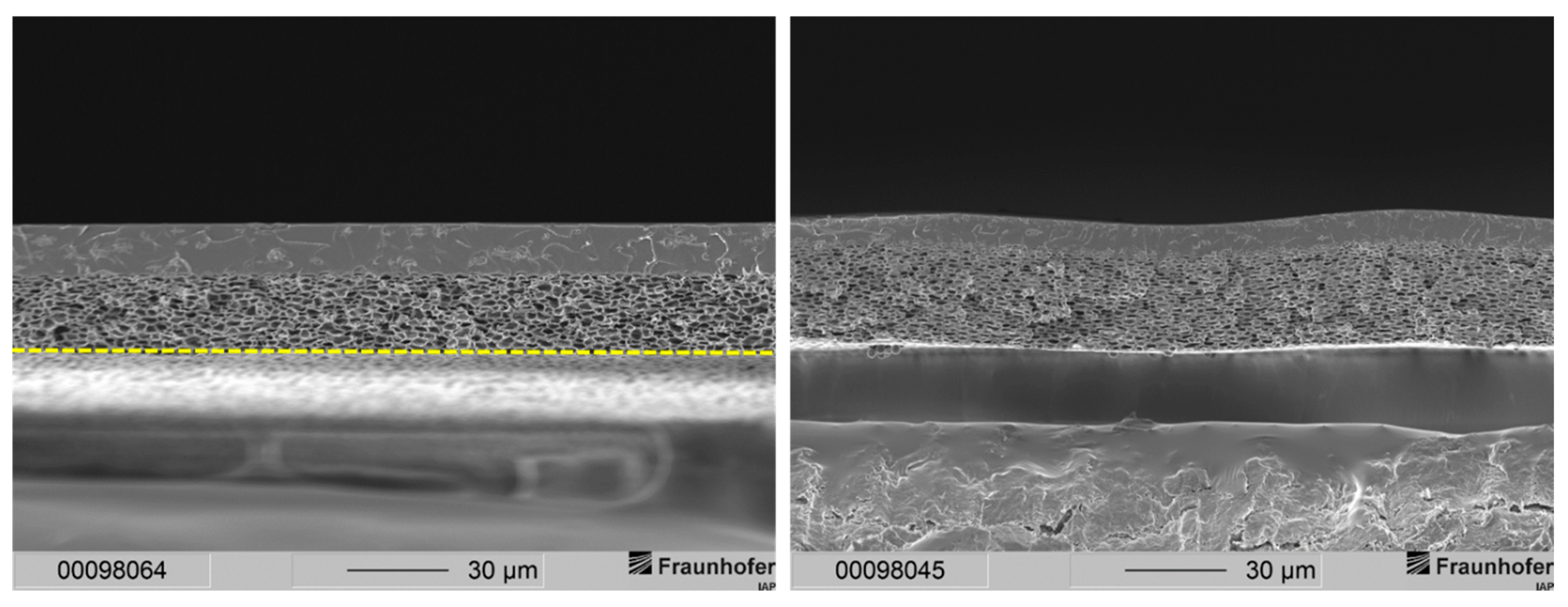 Membranes 12 00654 g002