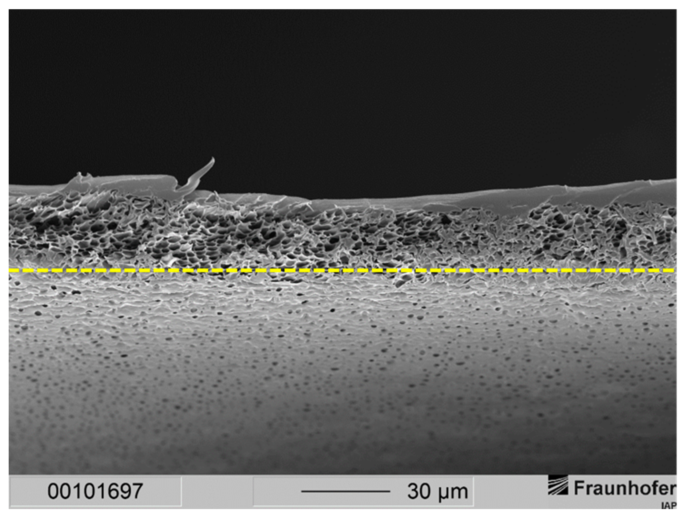 Membranes 12 00654 g003