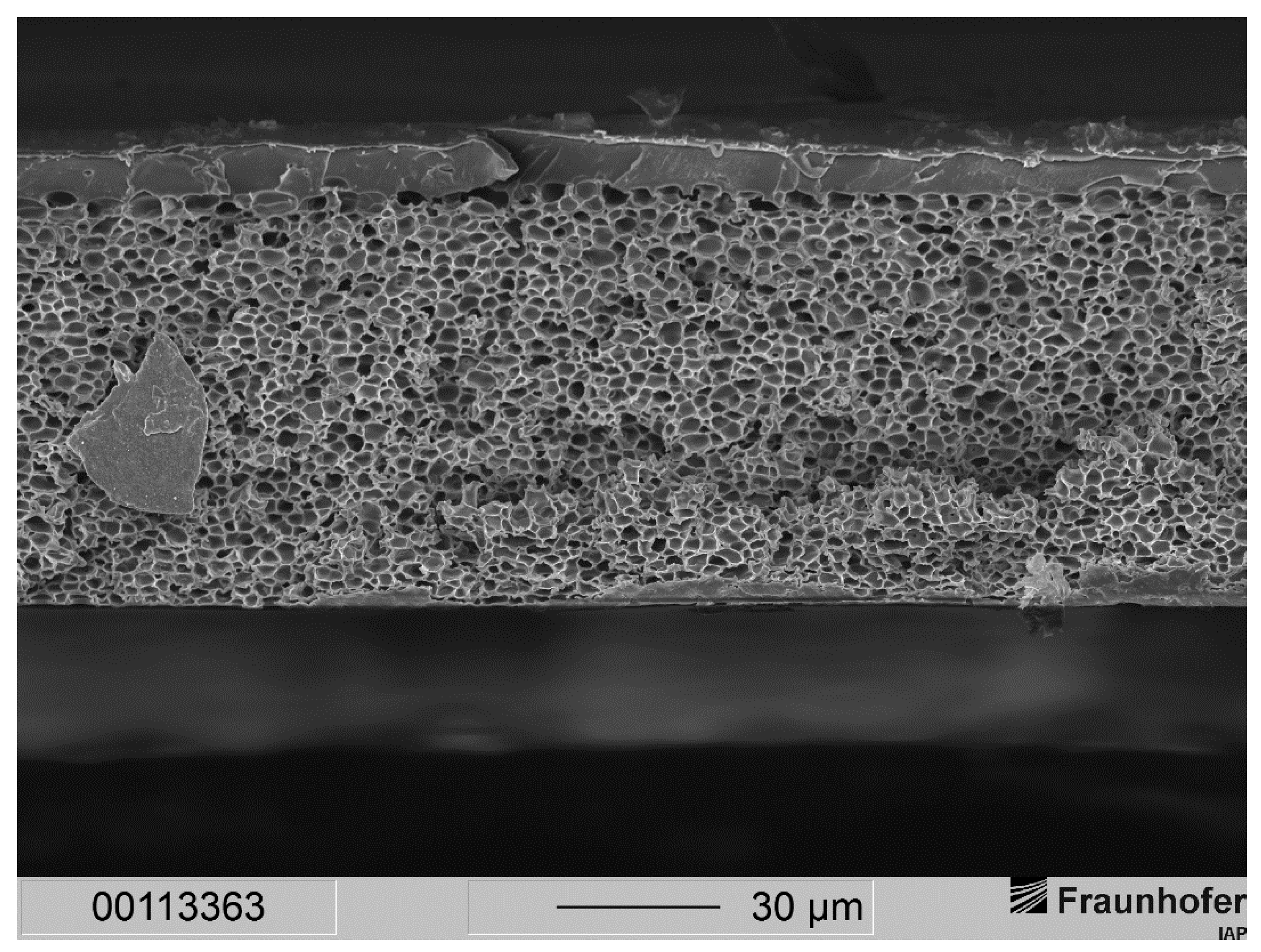 Membranes 12 00654 g004