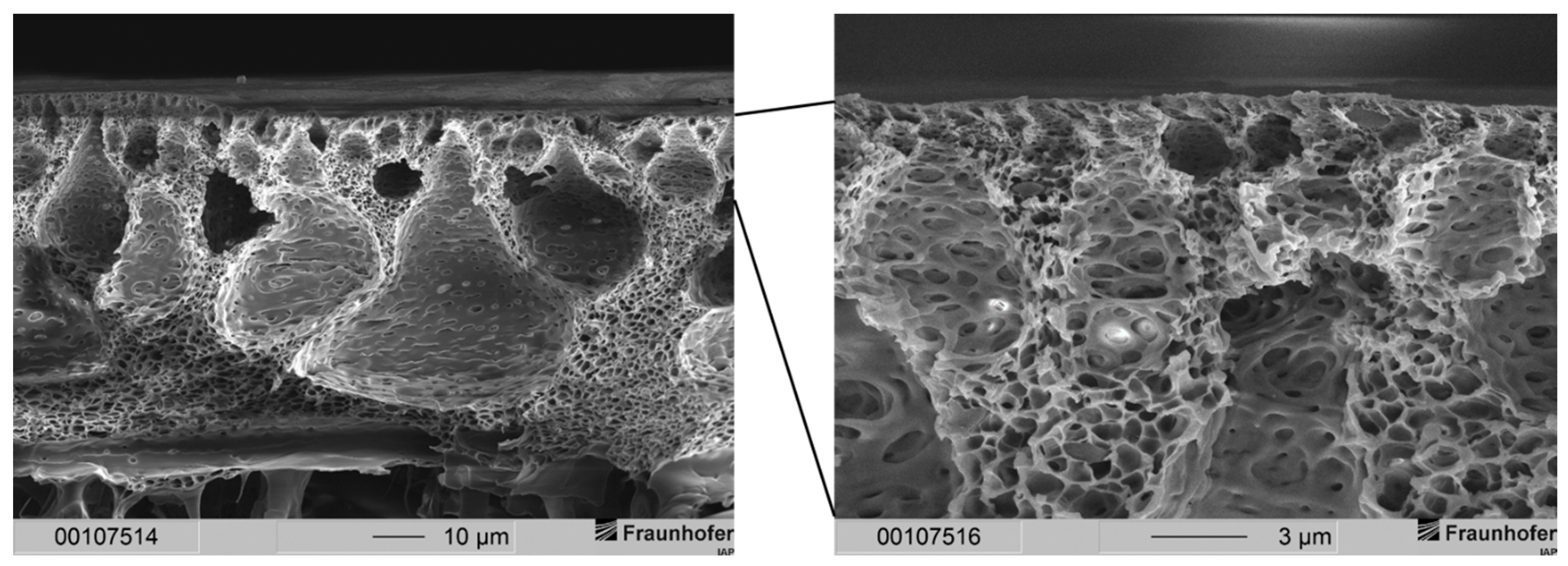 Membranes 12 00654 g005