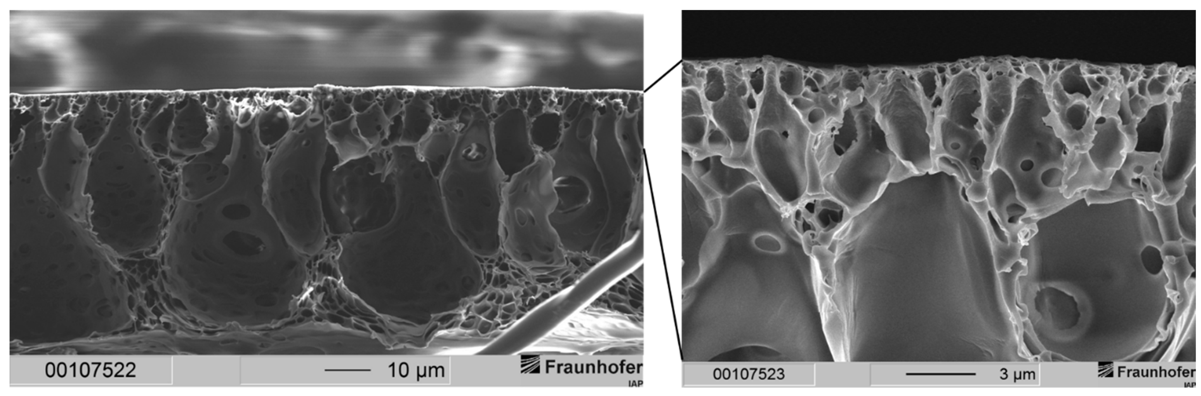Membranes 12 00654 g006