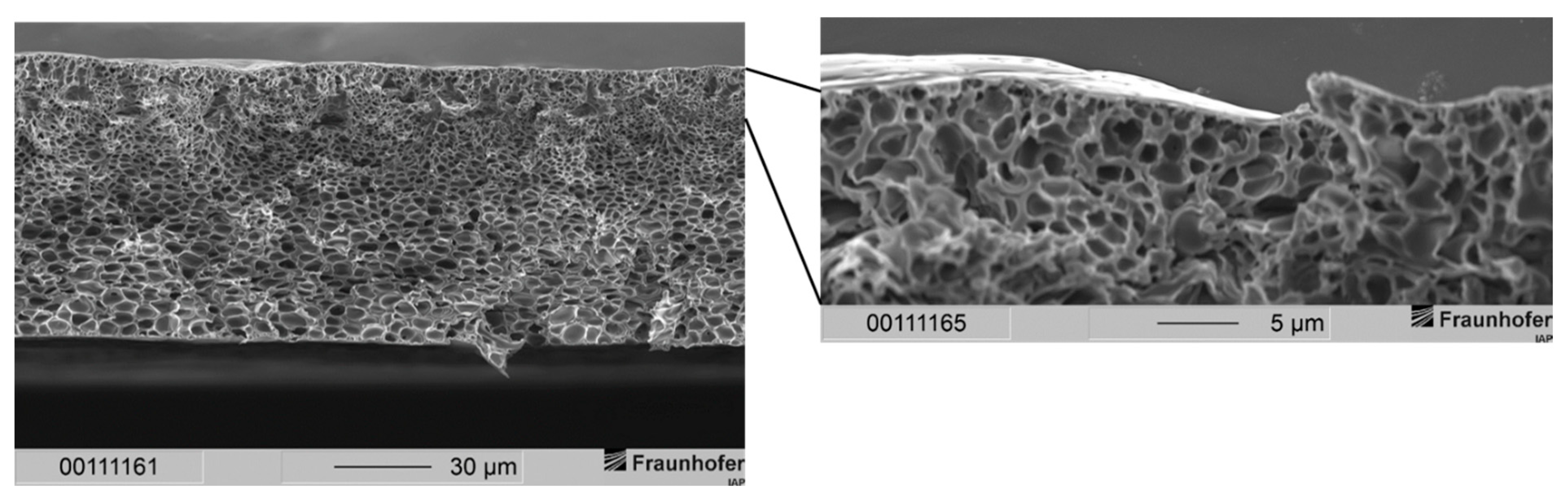 Membranes 12 00654 g007