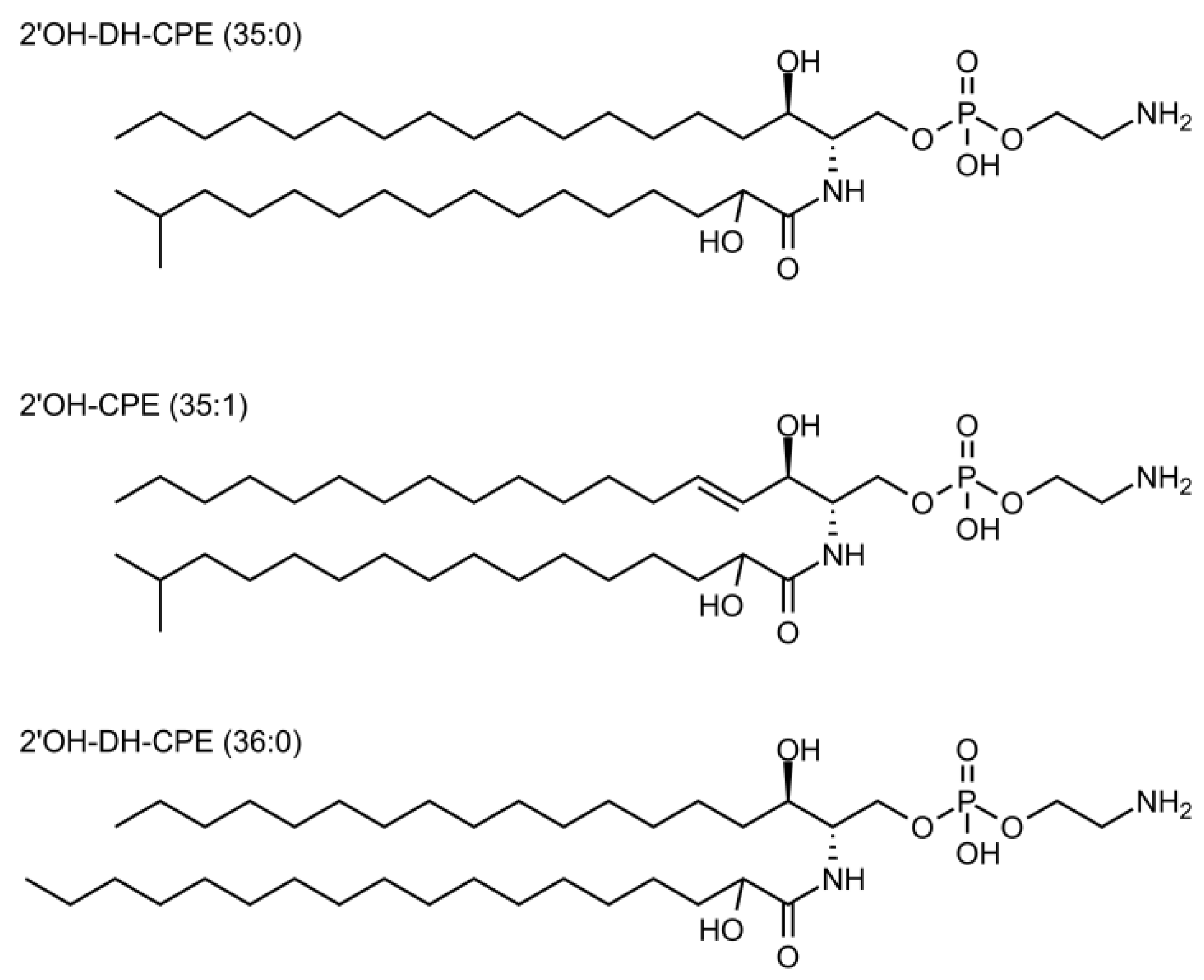 Membranes 12 00655 g002
