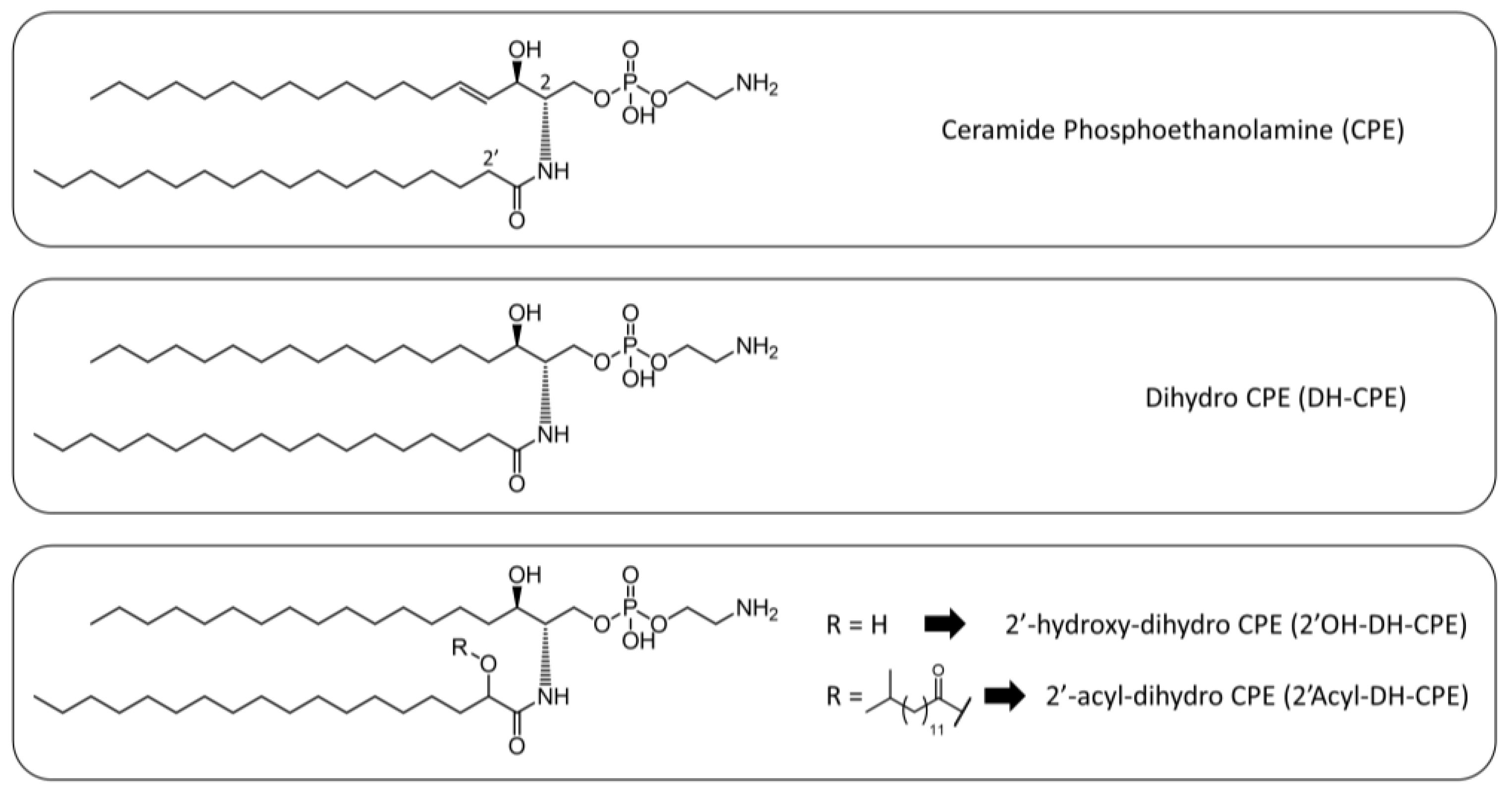 Membranes 12 00655 g003