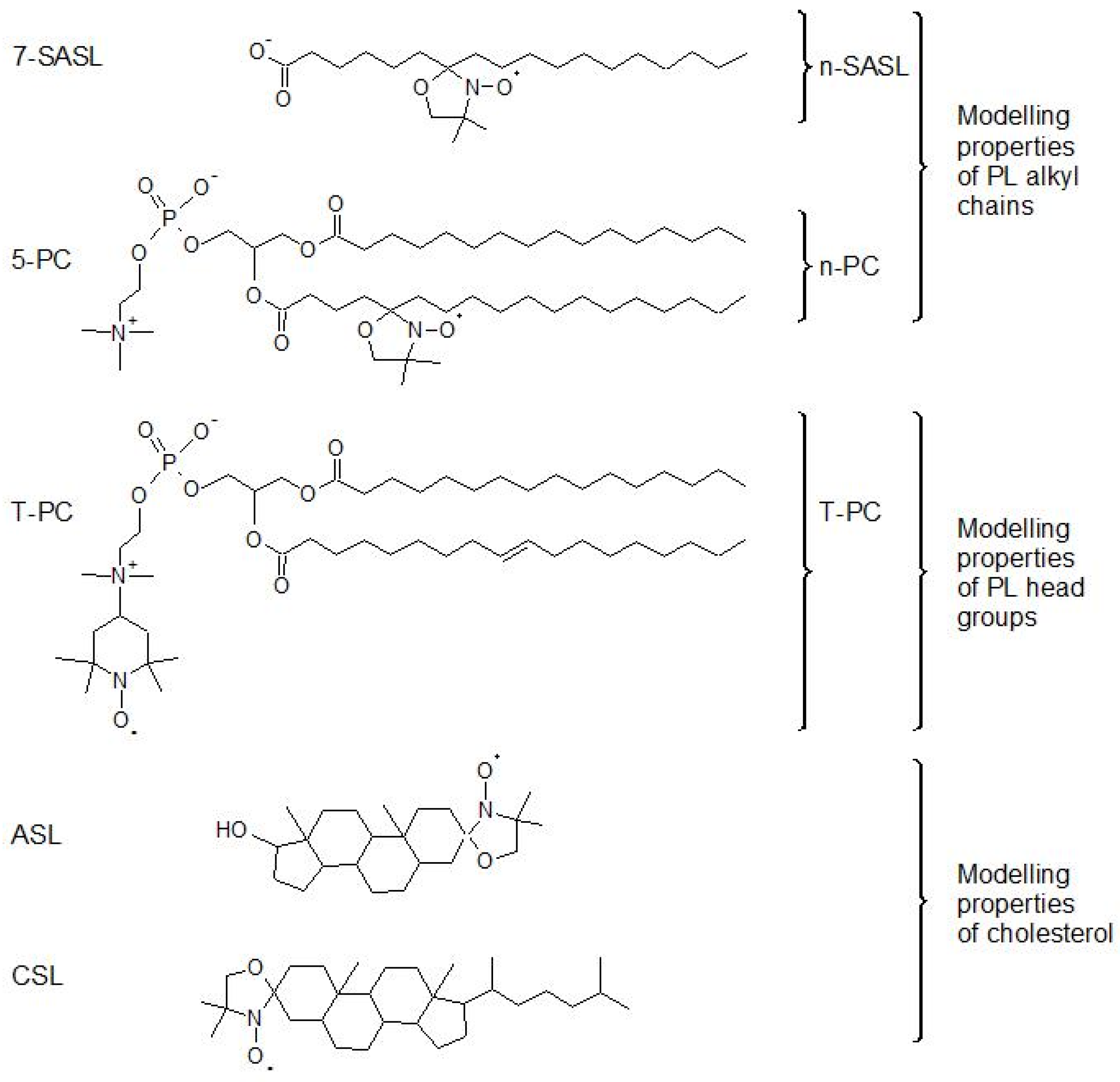Membranes 12 00657 g001