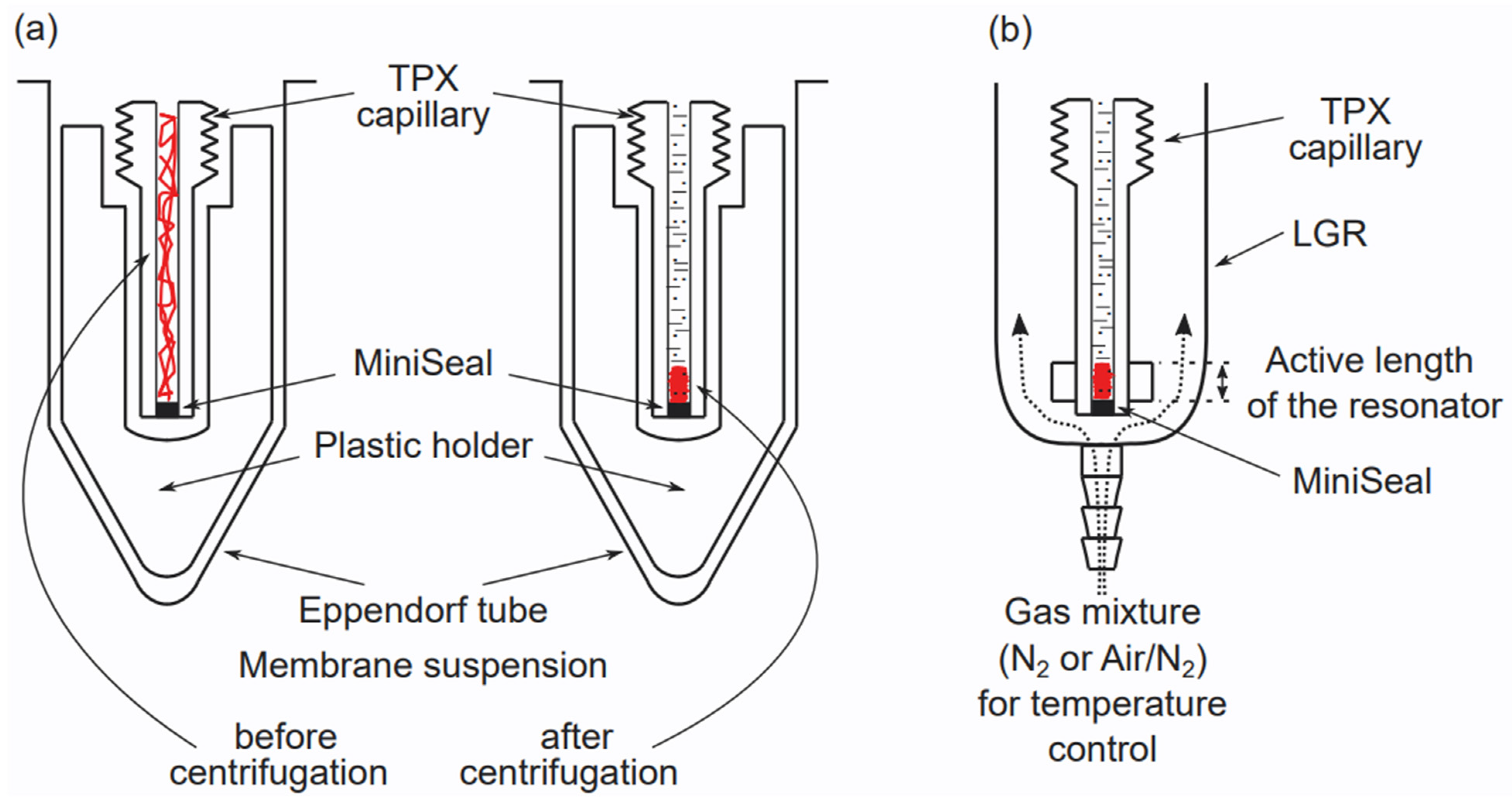 Membranes 12 00657 g003