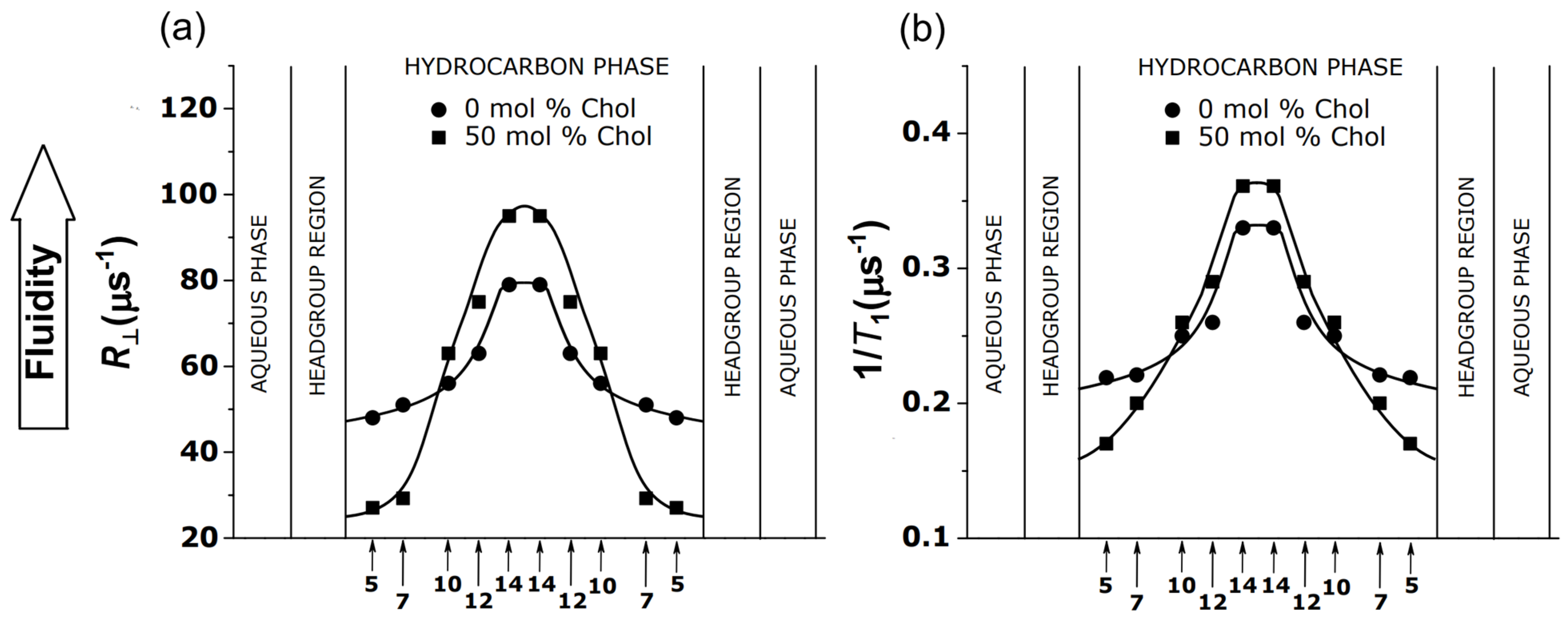 Membranes 12 00657 g004