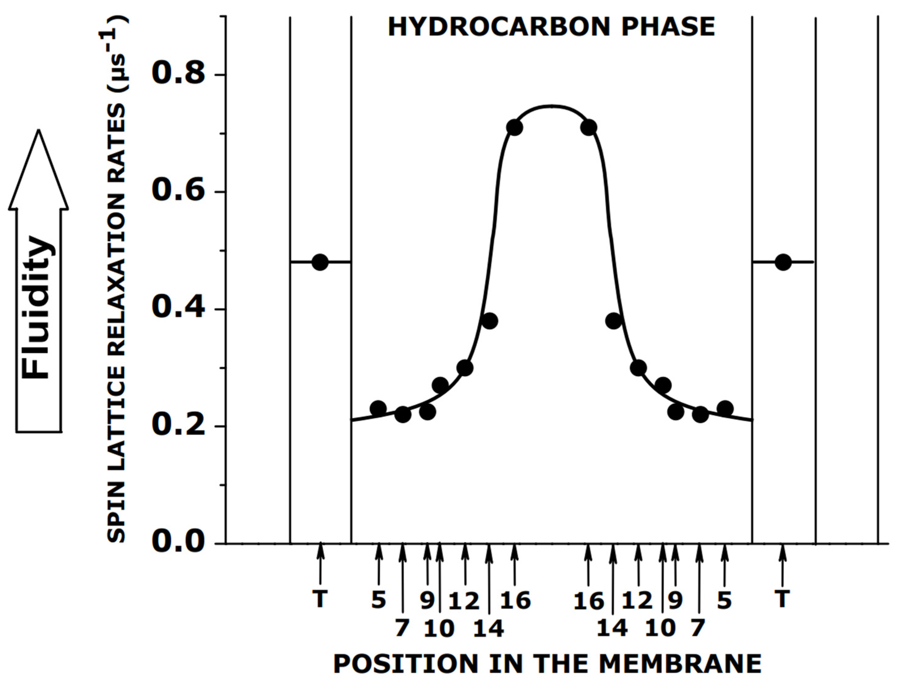 Membranes 12 00657 g005