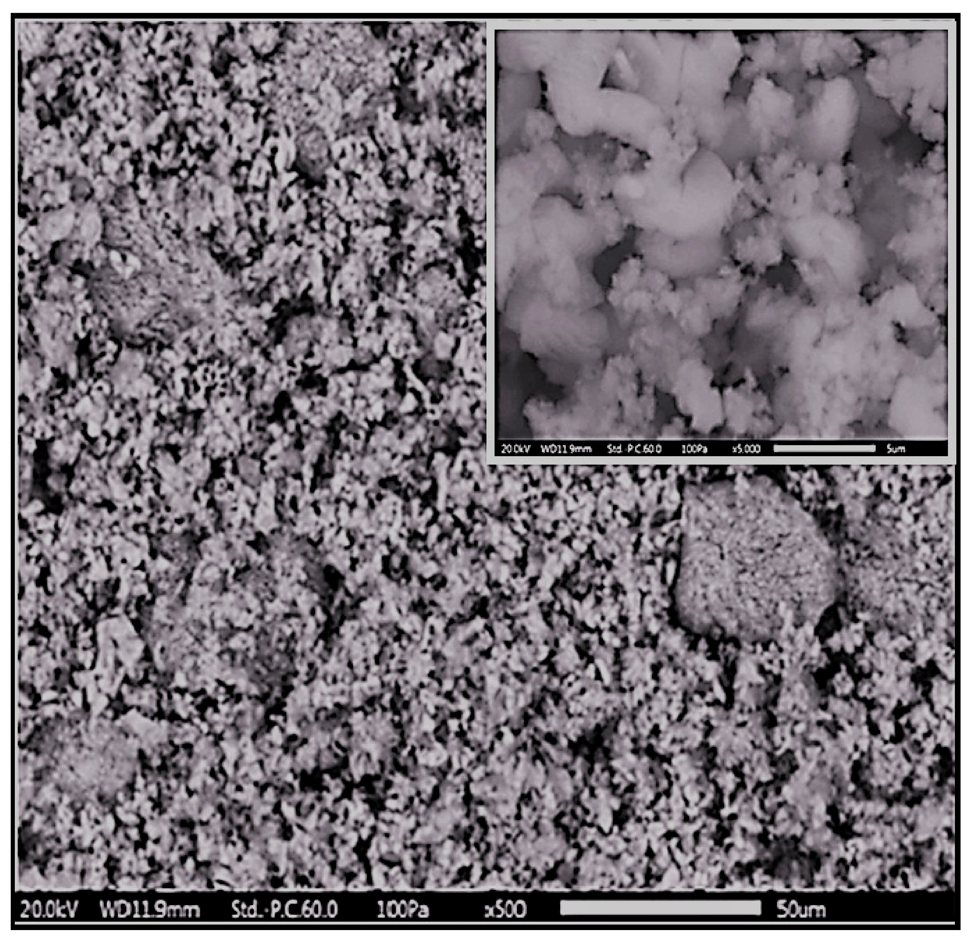 Membranes 12 00674 g004